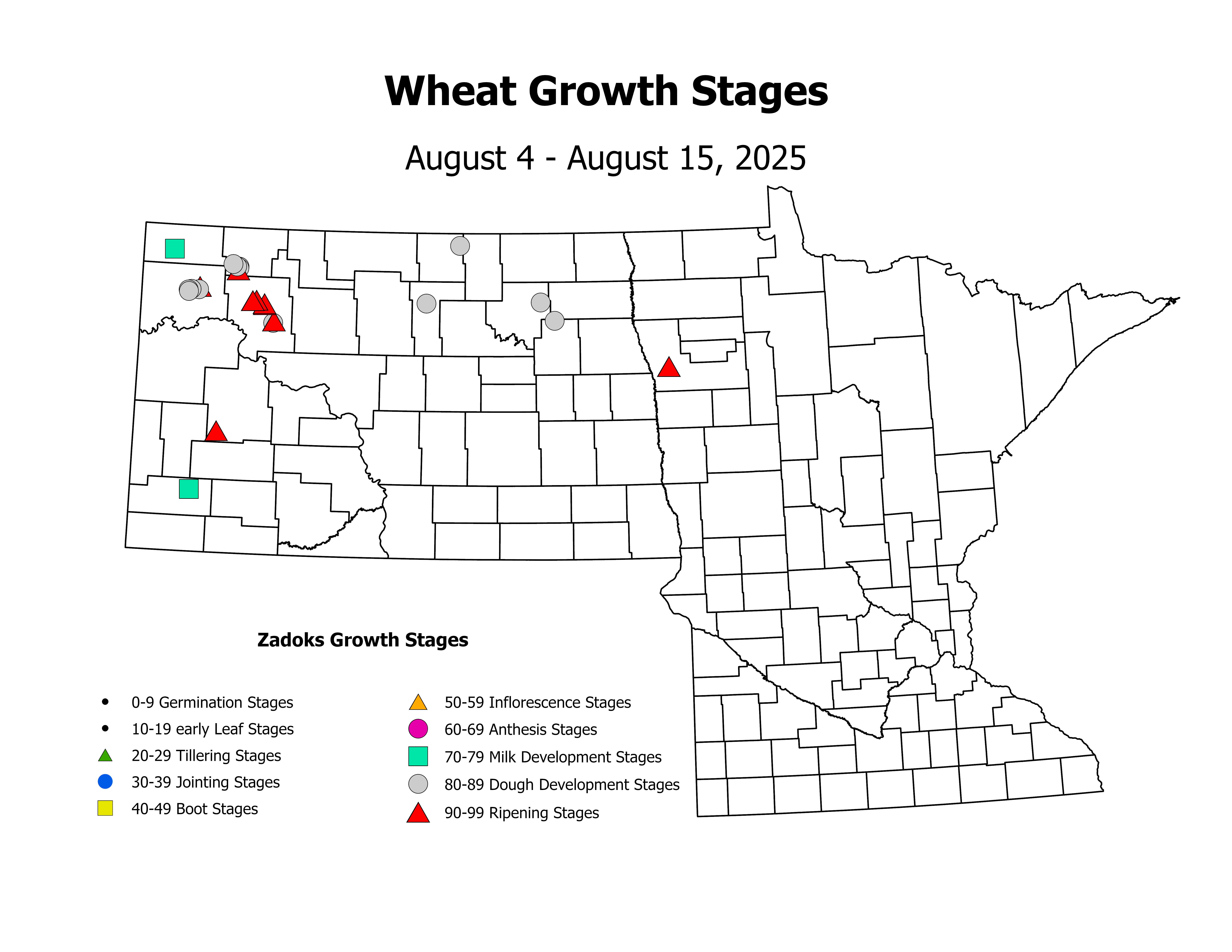 wheat_CropStage_2025August4ToAugust15