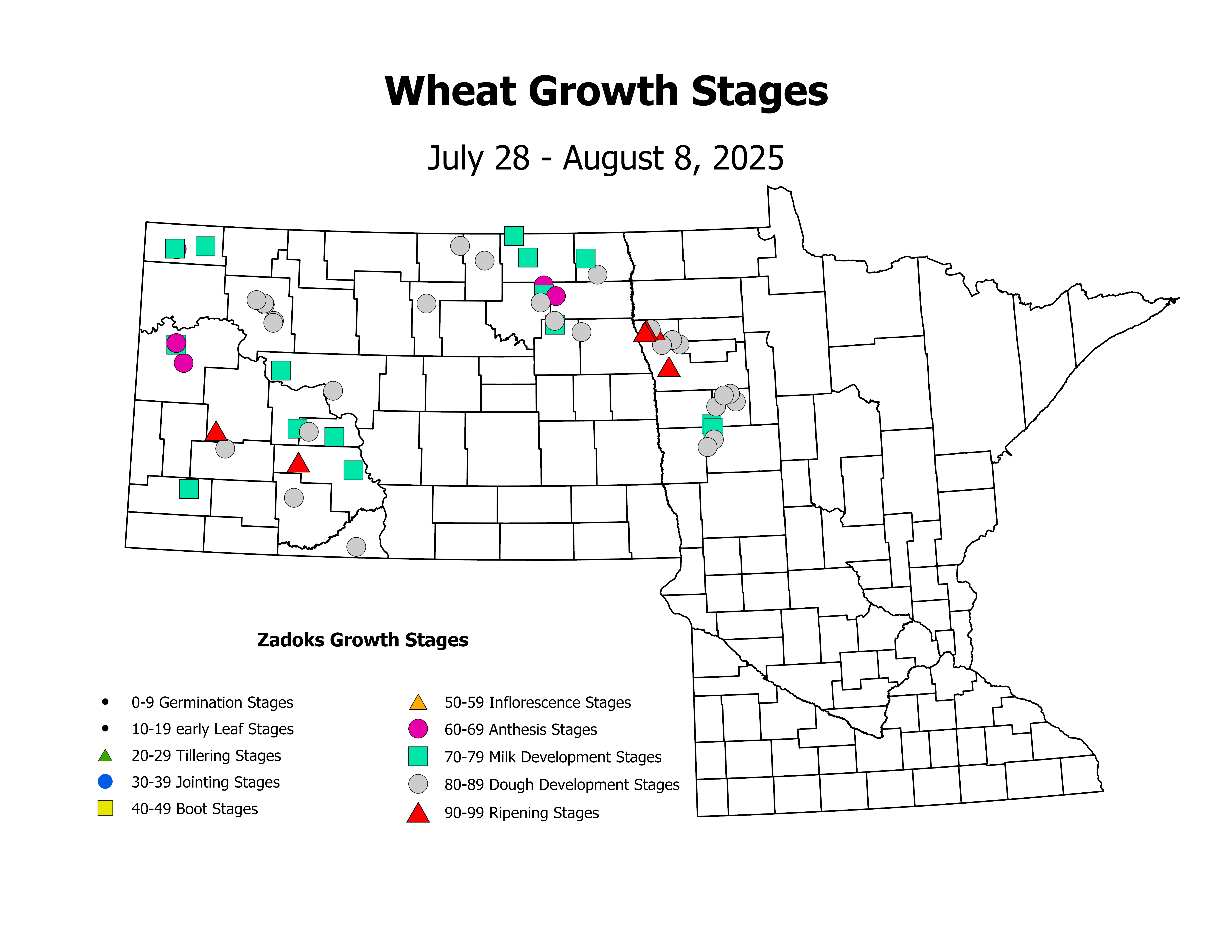 wheat_CropStage_2025July28ToAugust8