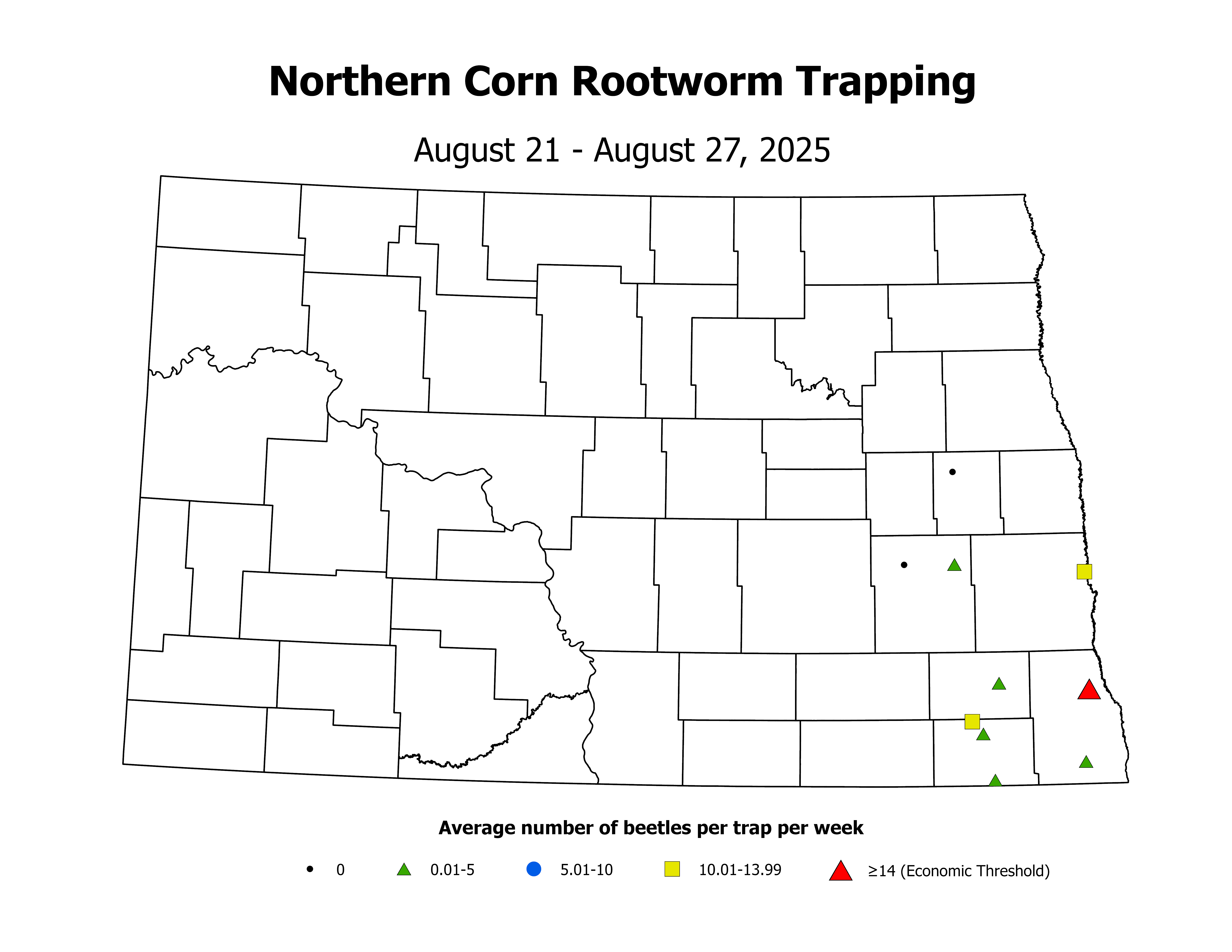 corn_Avg_NCR_2025August21ToAugust27