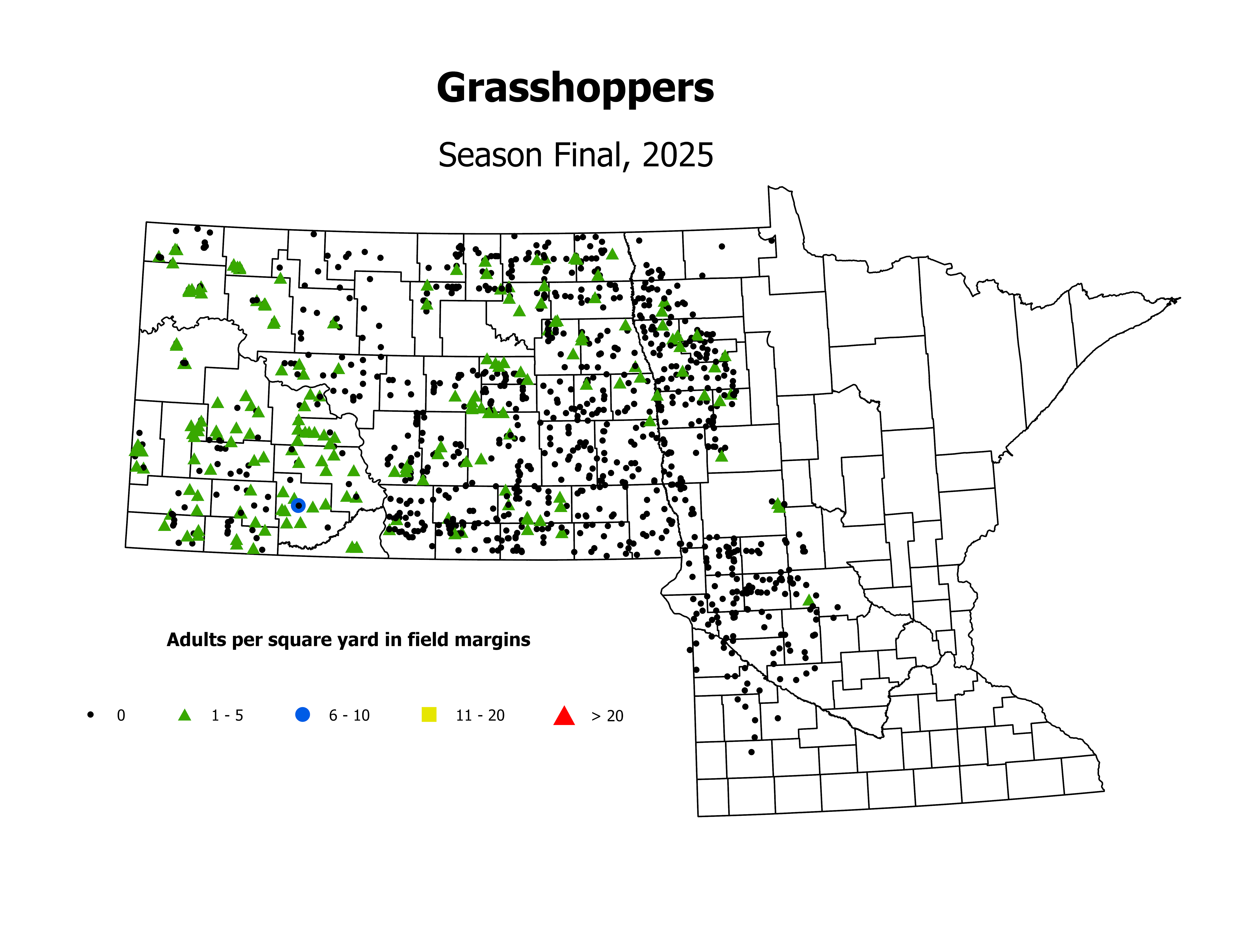 grasshopper_Adult_sqyd_SeasonFinal2025