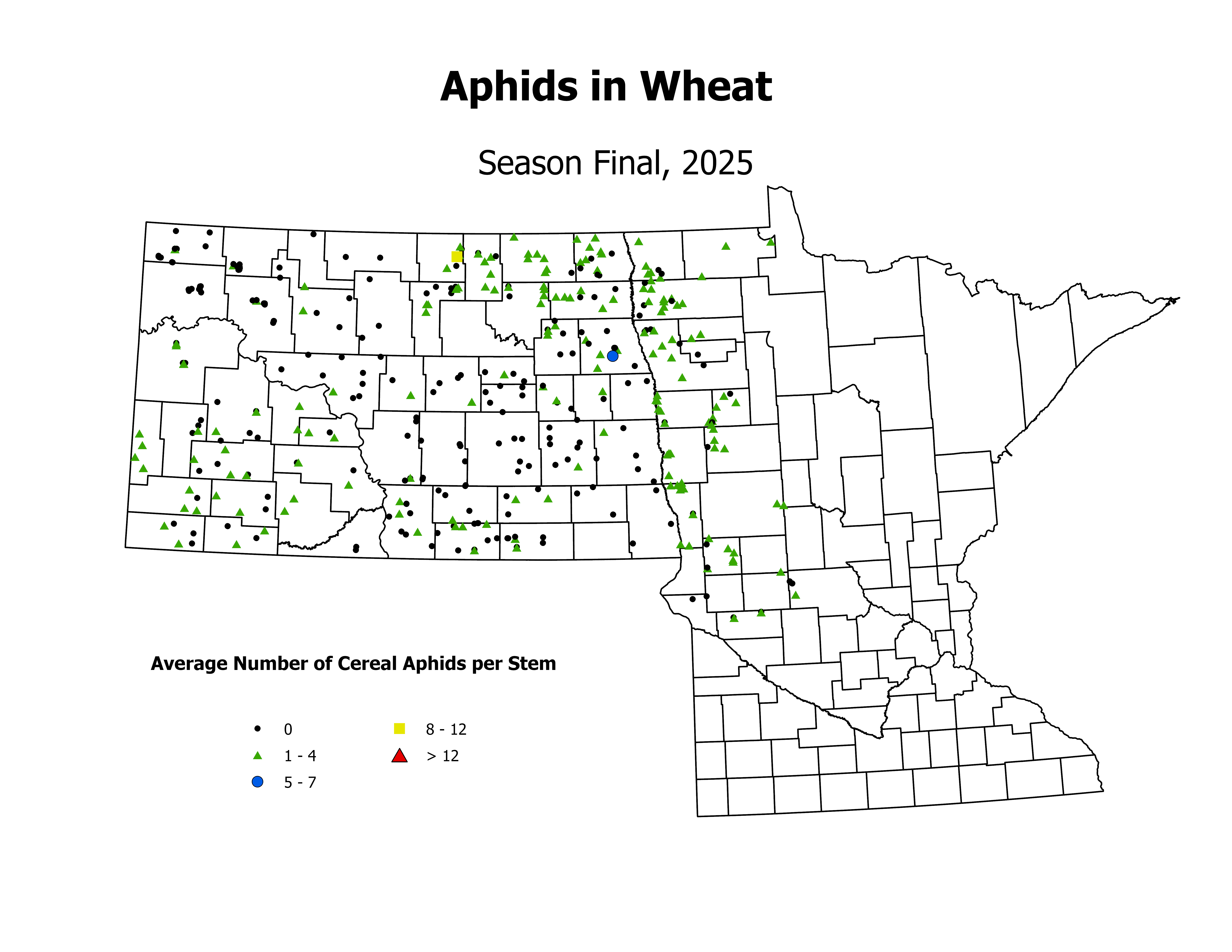 wheat_Aph_Stem_SeasonFinal2025