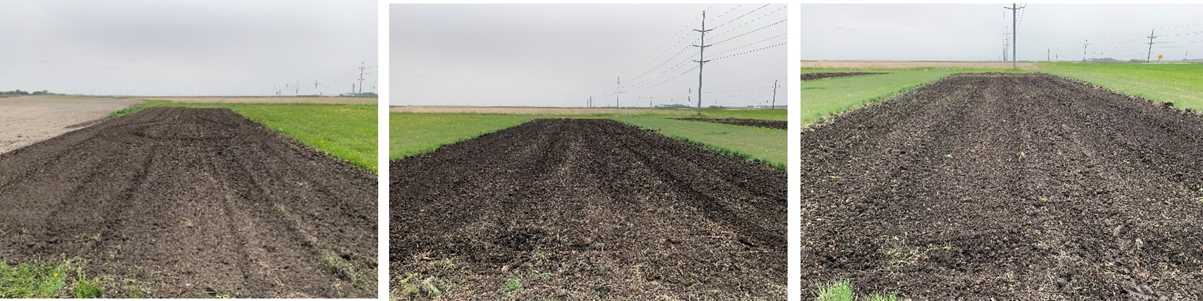 Pictures from left to right - Differences in seedbed between Level 1, 2, and 3 on May 29, 2025.