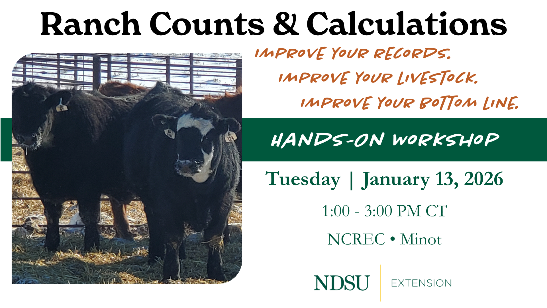 Cattle in winter indicating event date of January 13