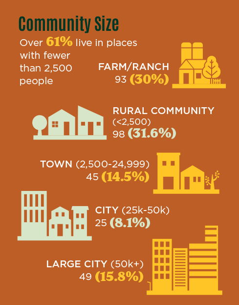 LCE Survey responses town size