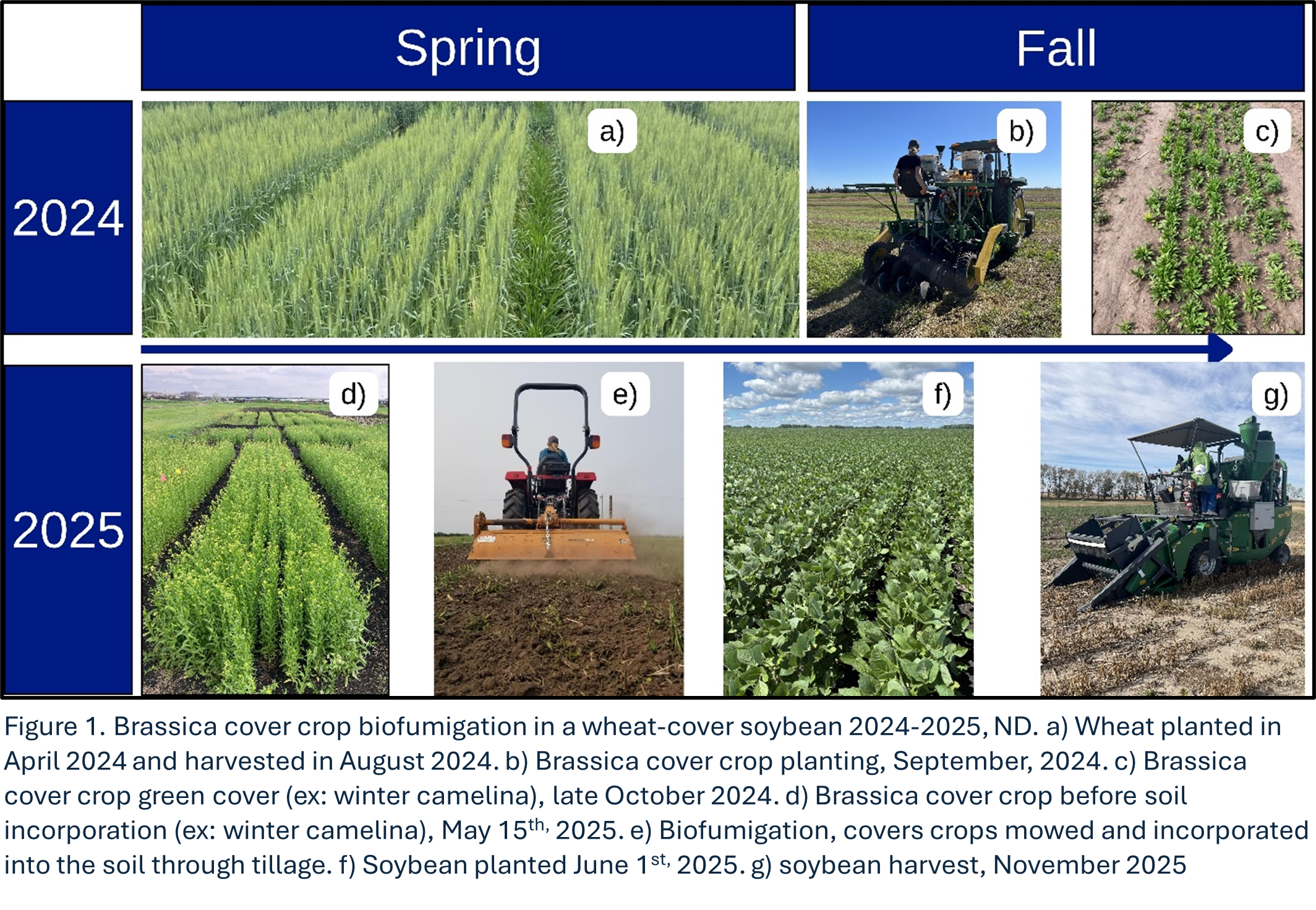 A series of images show the plant-harvest cycle required for biofumigation.