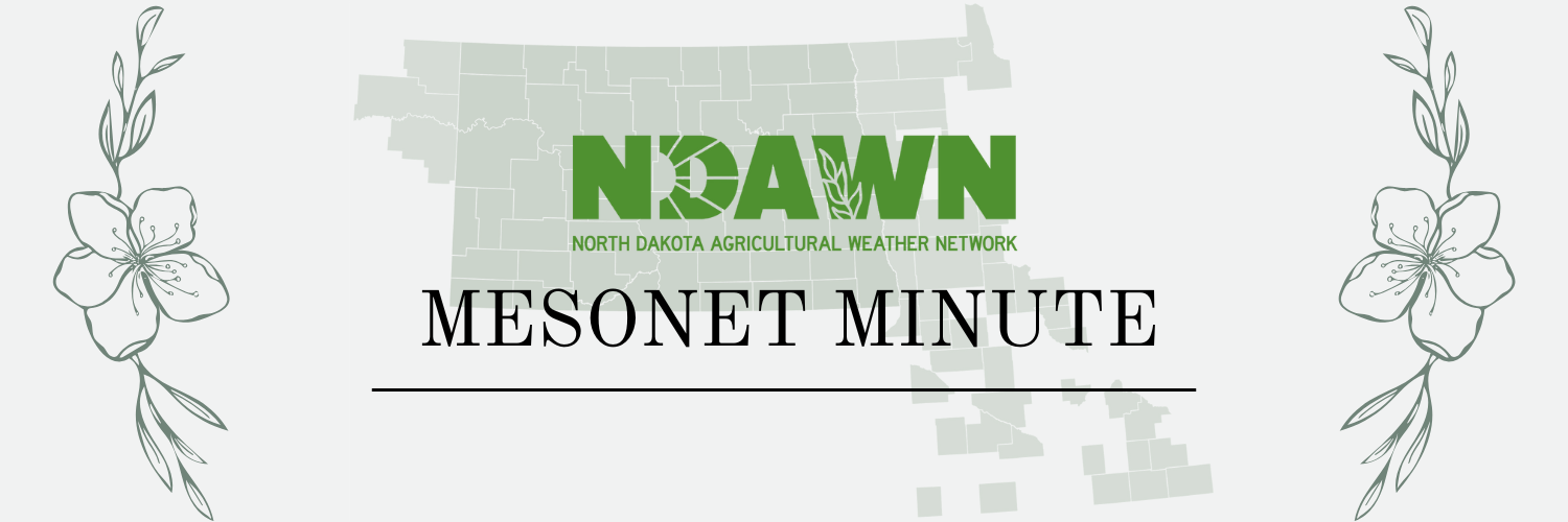 mesonet minute banner