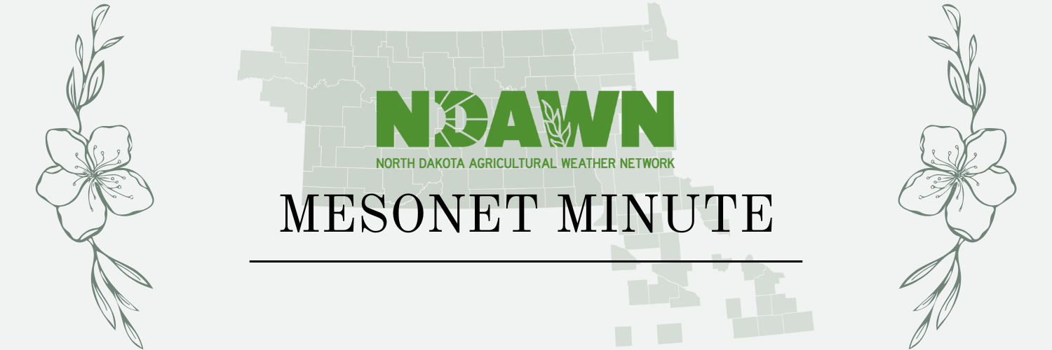 mesonet minute banner