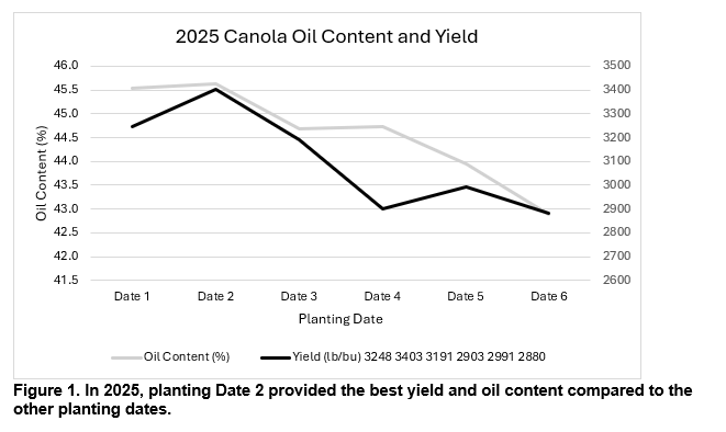 Figure showing planting date 2 provided the best yield and oil content compared to other planting dates.