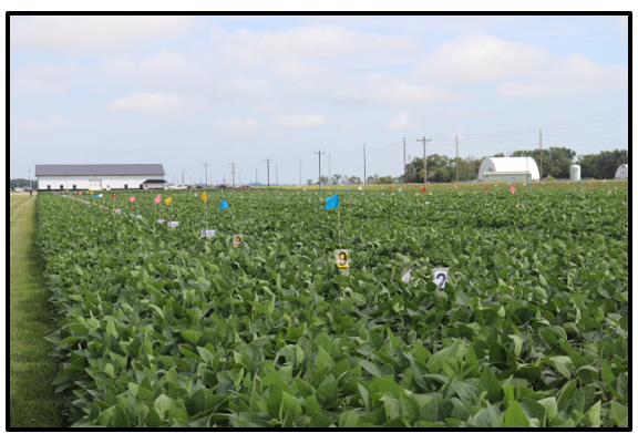 Fungicide application timing, fungicide droplet size and soybean seeding rate trial.