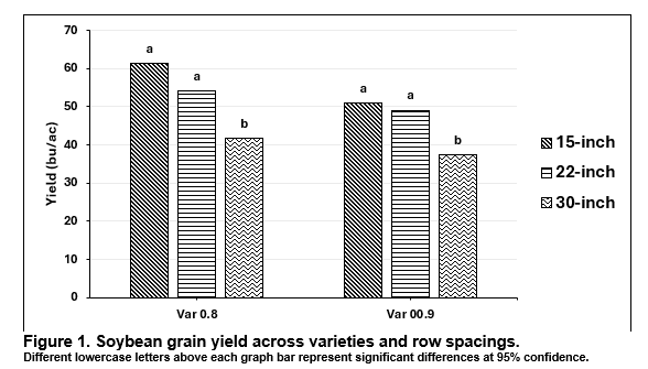 Figure showing soybean grain yield across varieties and row spacings.