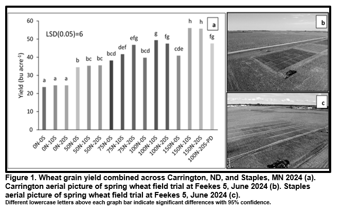 Figure showing grain yield at Carrington, ND and Staples, MN in 2024.