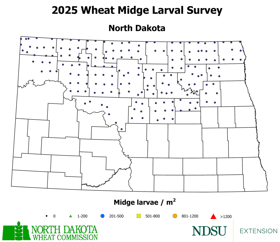 wheat midge map in ND for 2026 showing mostly northern counties