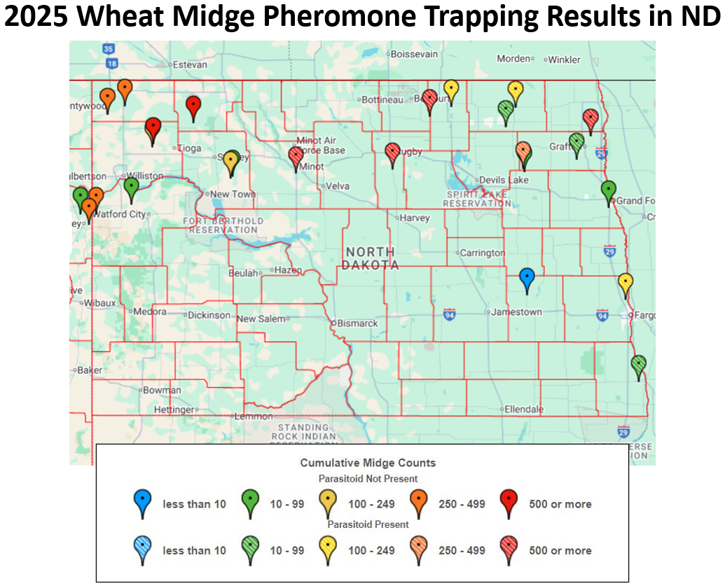 map showing wheat midge trapping results in ND for 2026