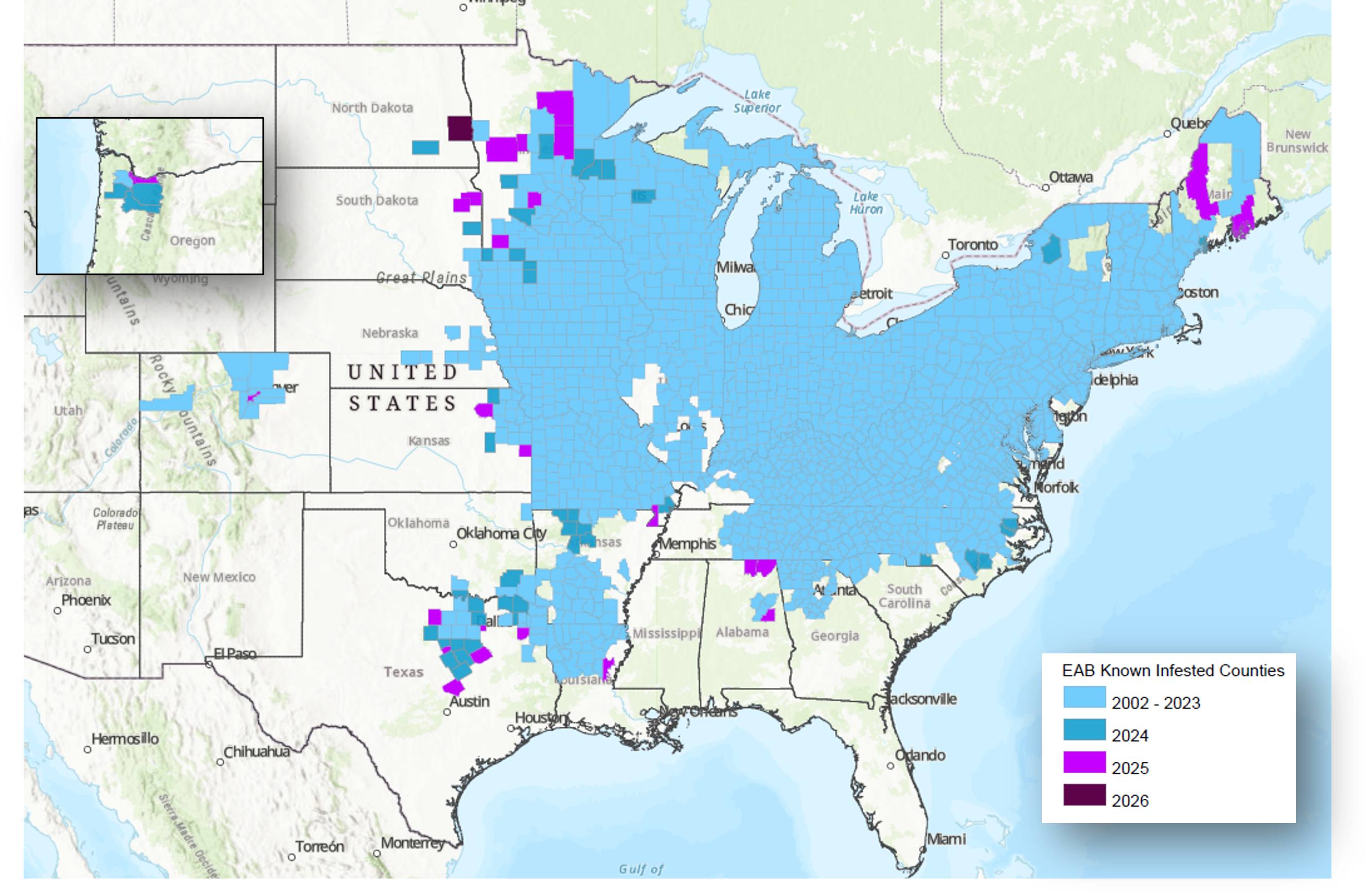USDA emerald ash borer known infested counties in the United States as of April 2026 (Source: www. emeraldashborer.info).