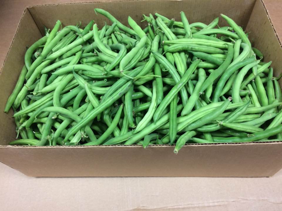 Box of green beans