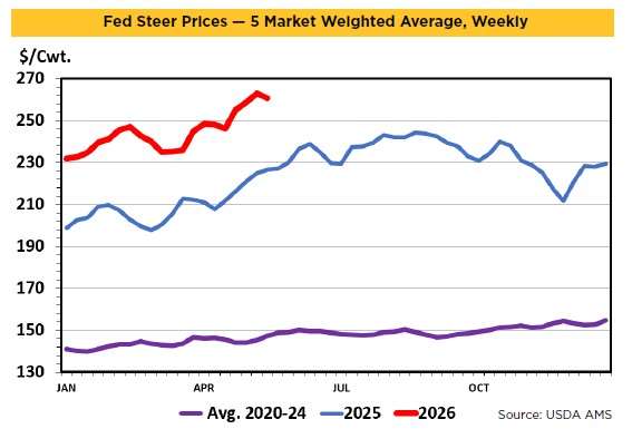 Fed Steer Price graph showing averages 2020-2026