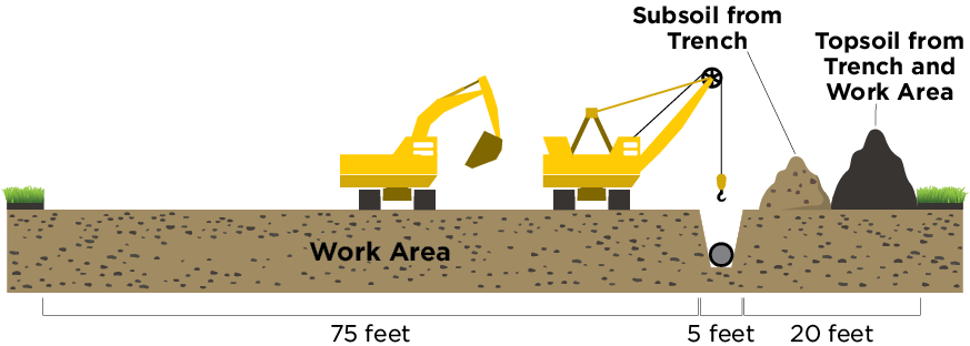 Graphic