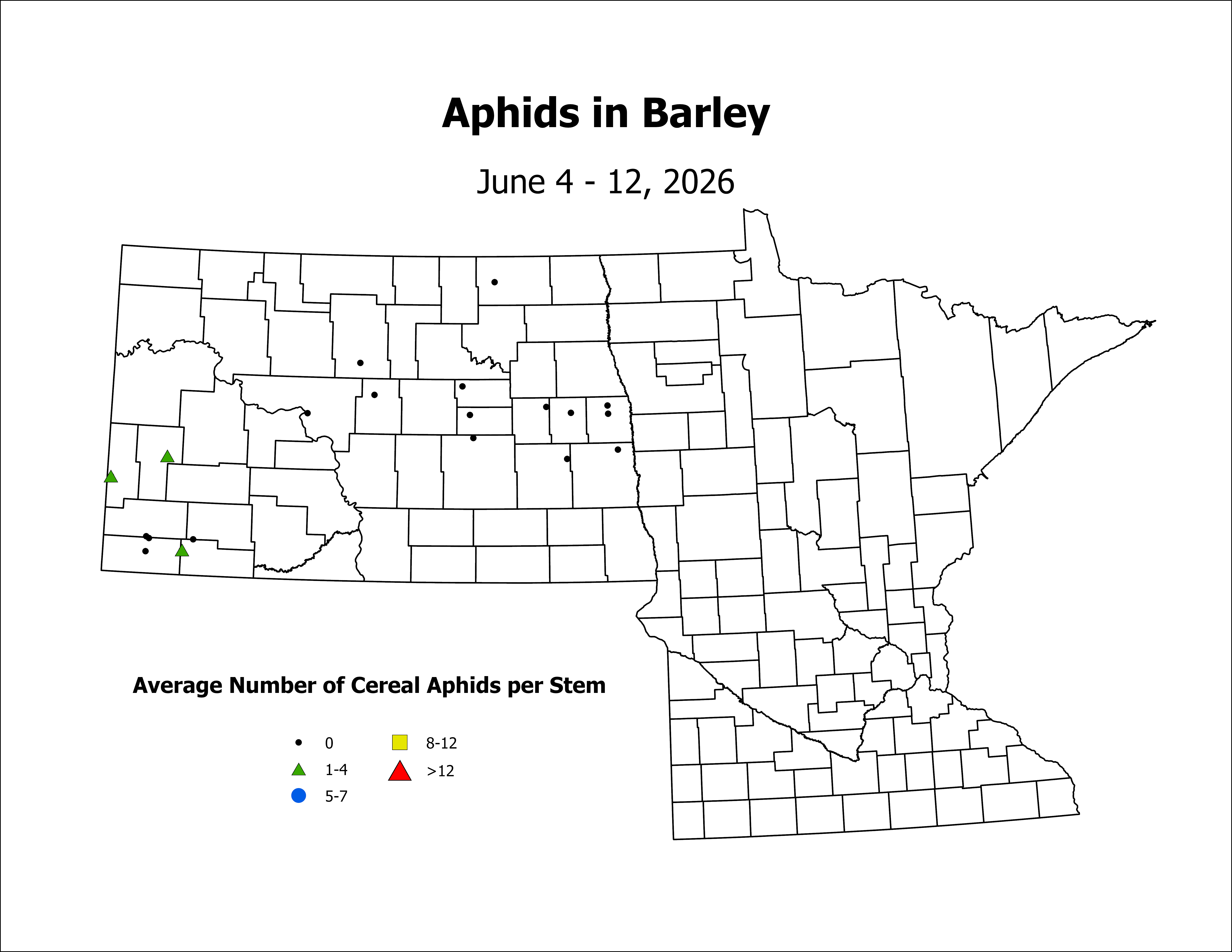 barley_Aph_Stem_2026June4ToJune12