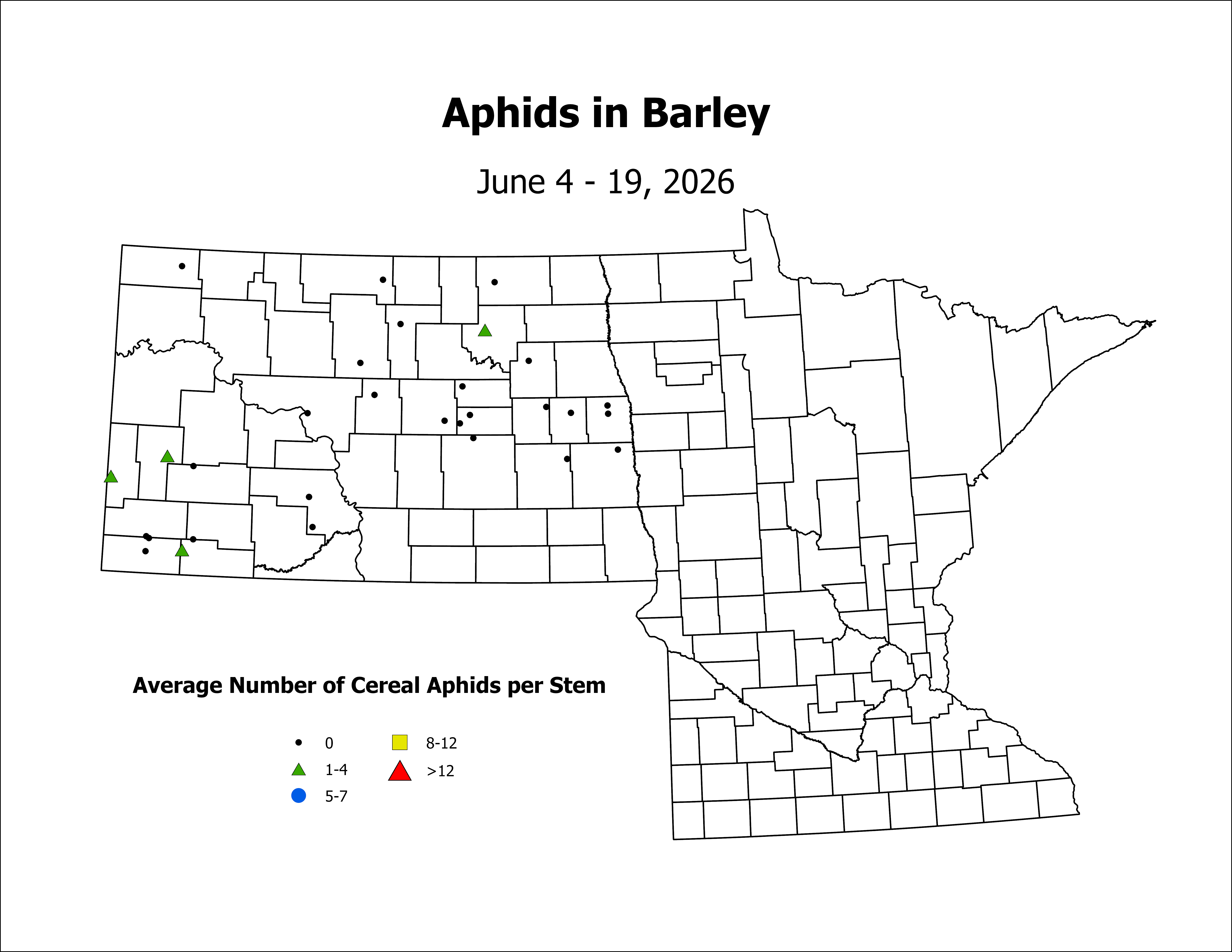 barley_Aph_Stem_2026June4ToJune19