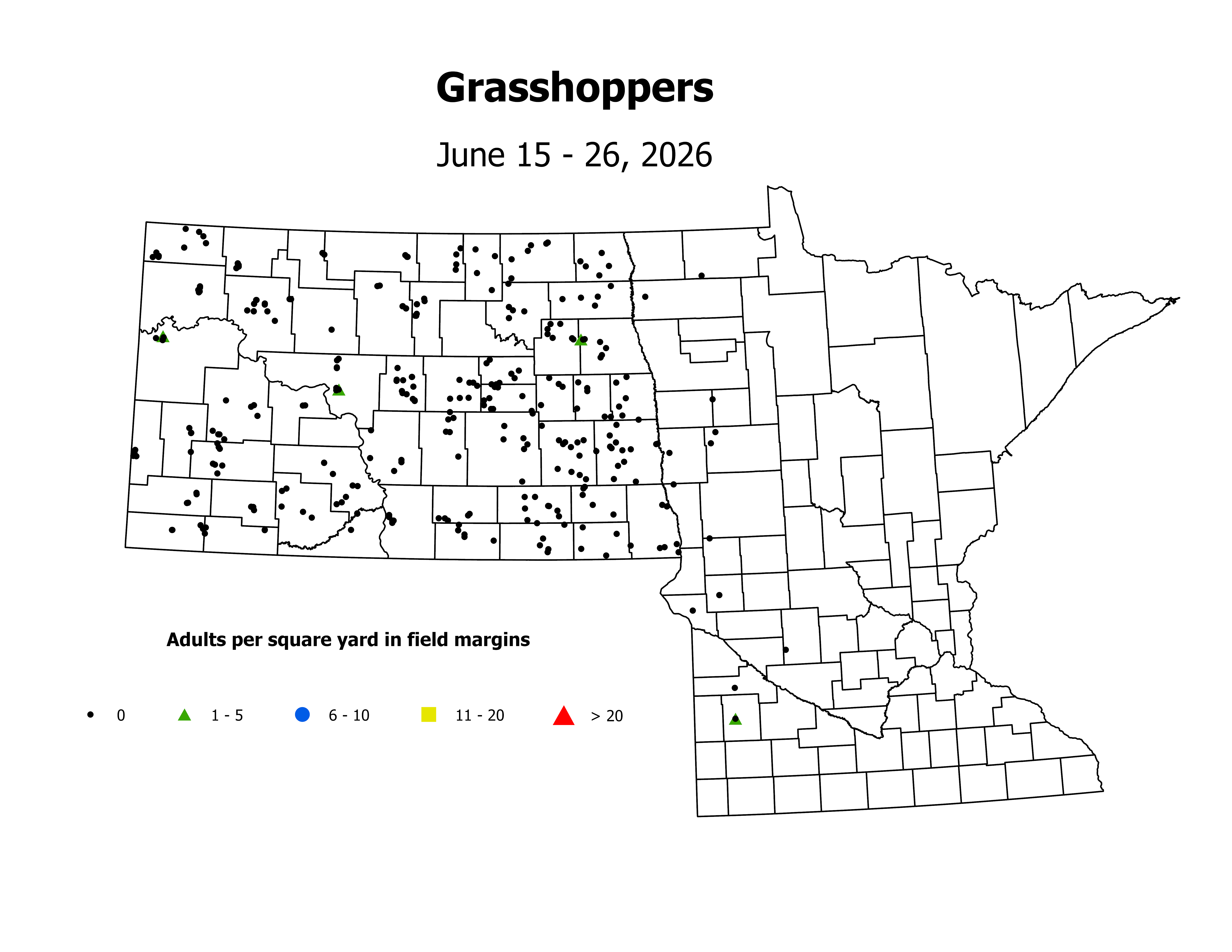 grasshopper_Adult_sqyd_2026June15ToJune26