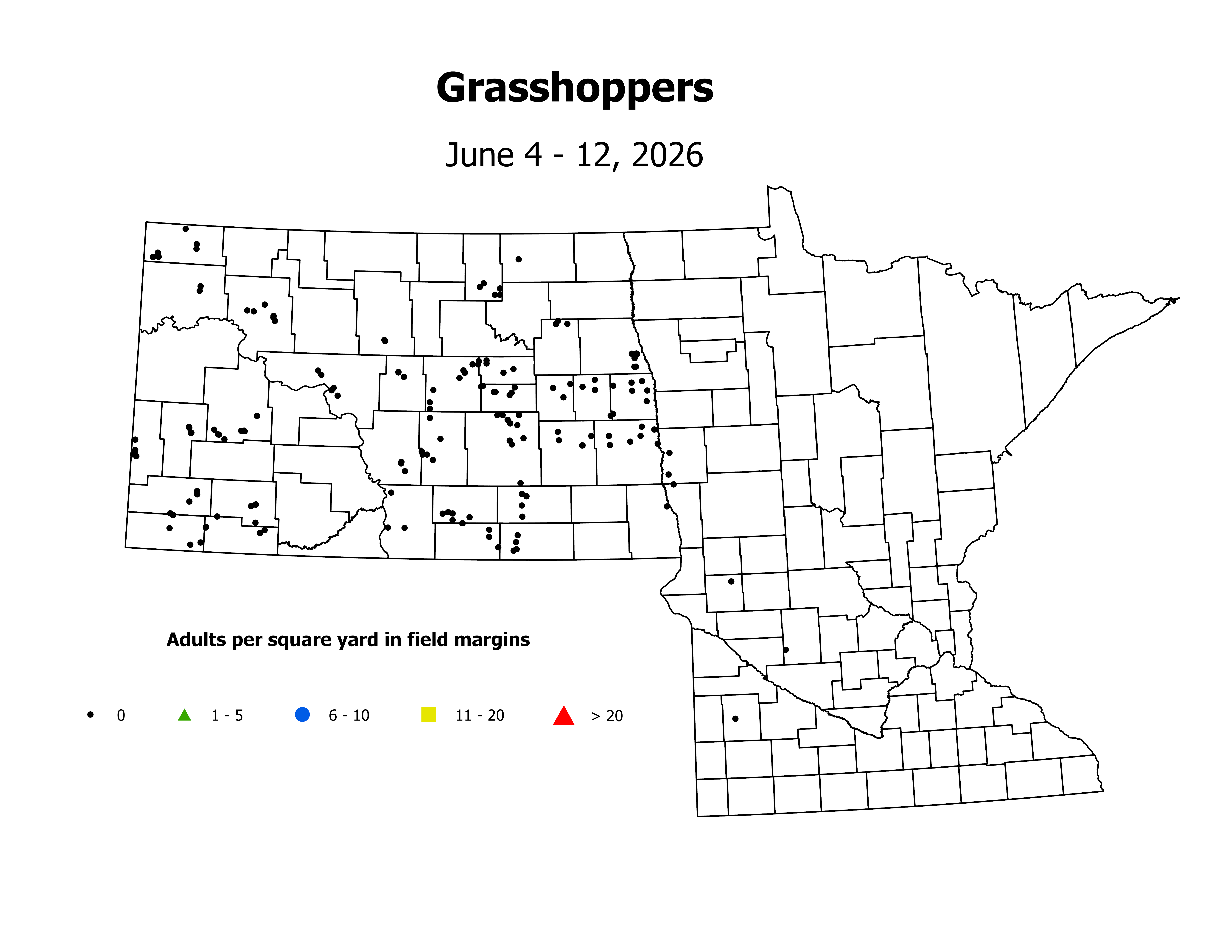 grasshopper_Adult_sqyd_2026June4ToJune12