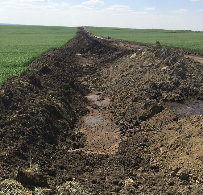 soil