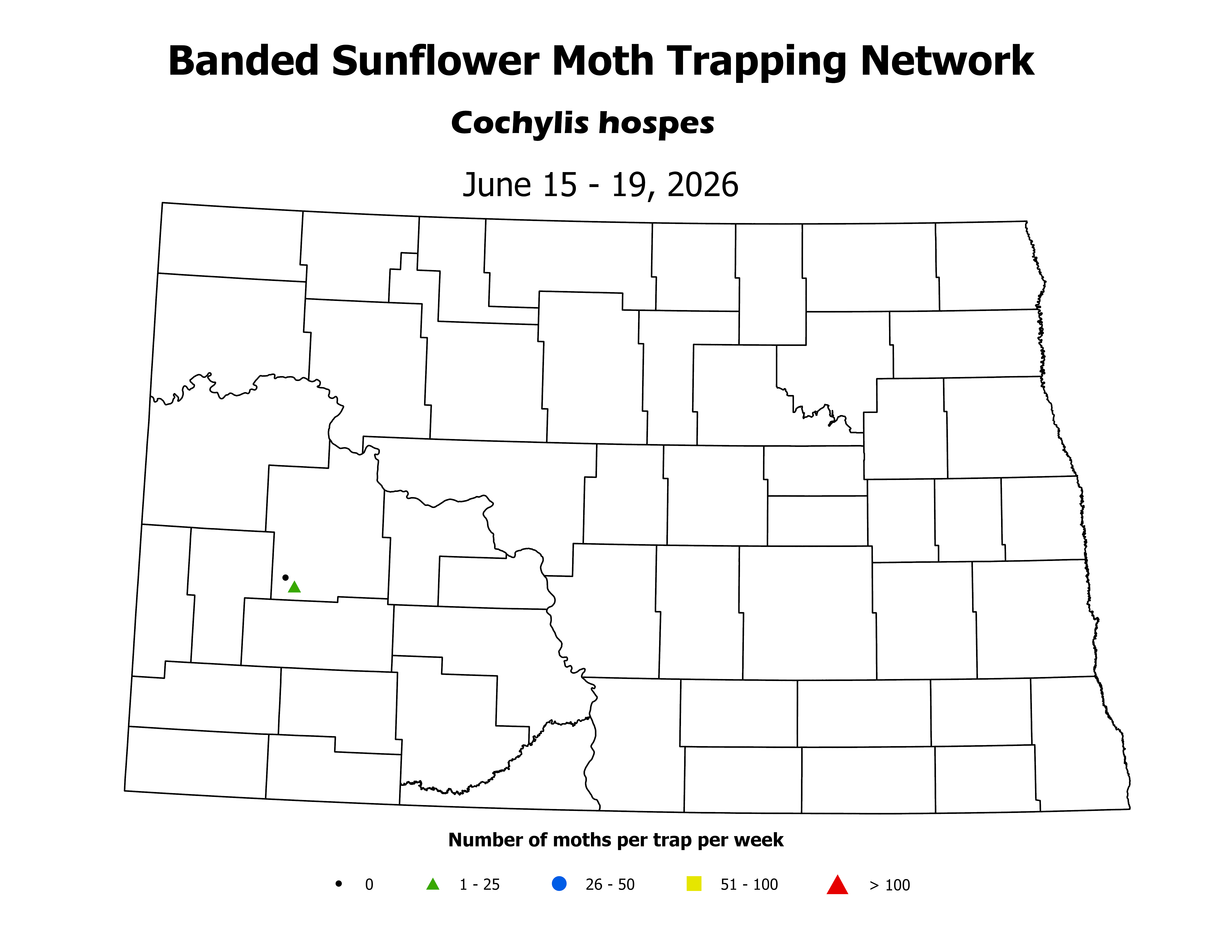 sunflowerInsectTrap_BSM_Count_2026June15ToJune19