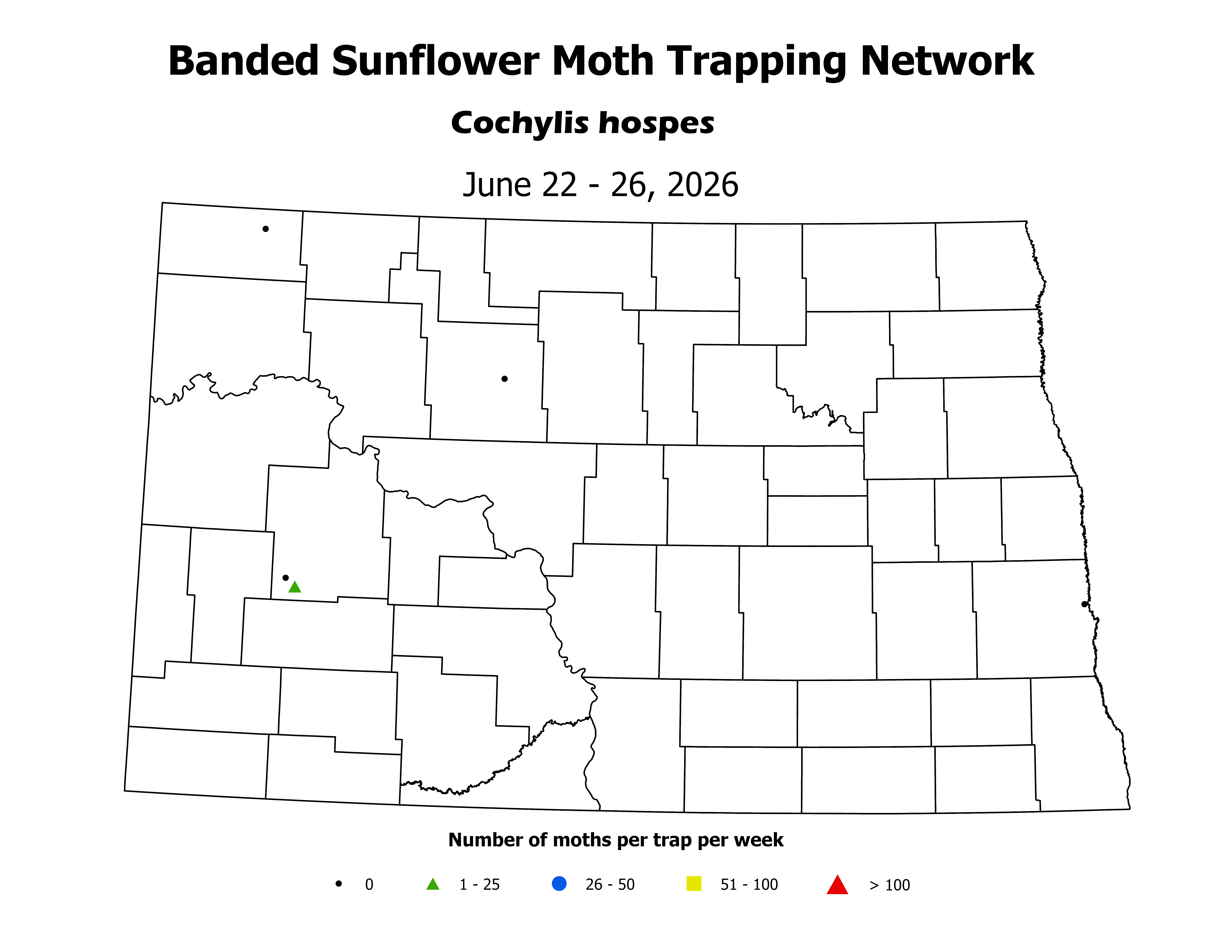 sunflowerInsectTrap_BSM_Count_2026June22ToJune26
