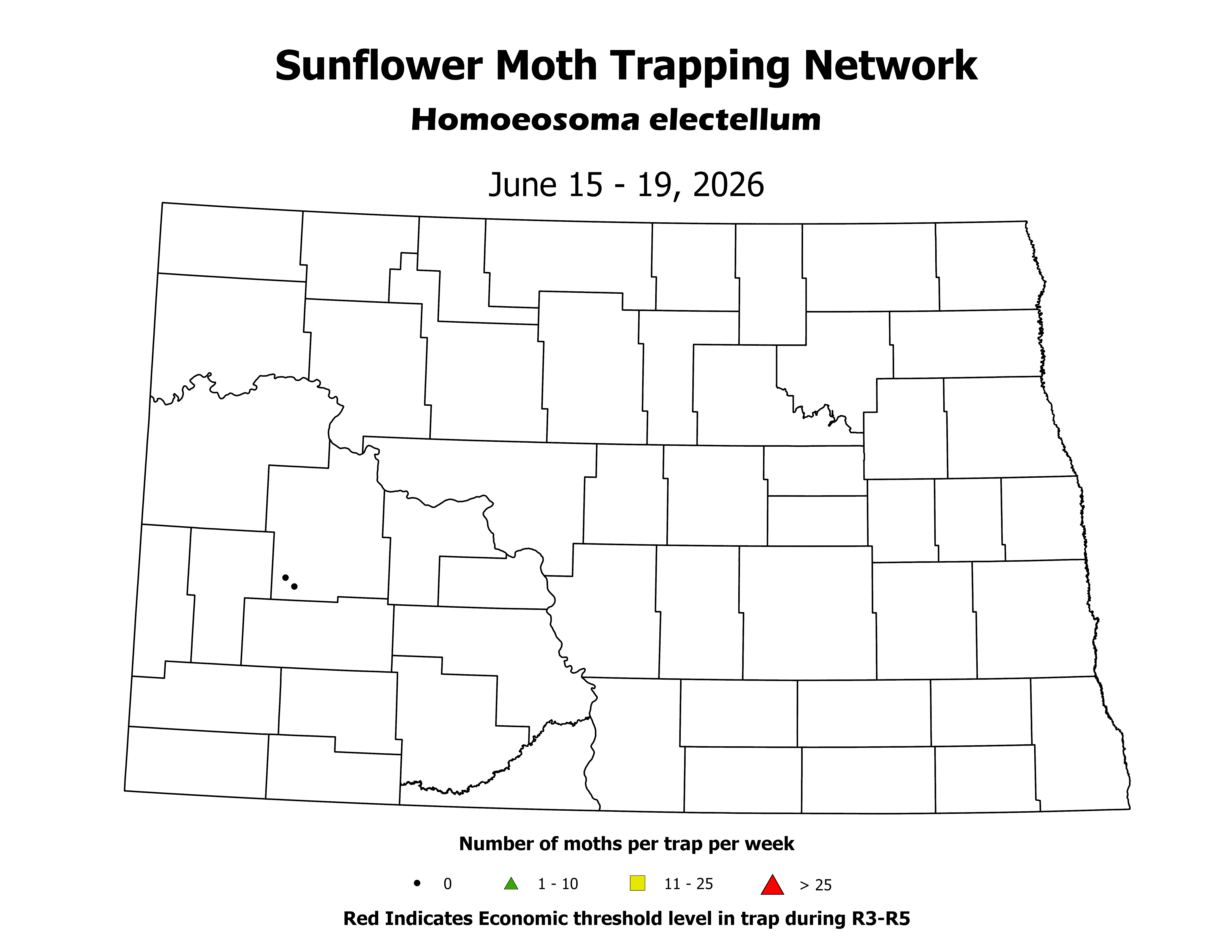 sunflowerInsectTrap_SM_Count_2026June15ToJune19
