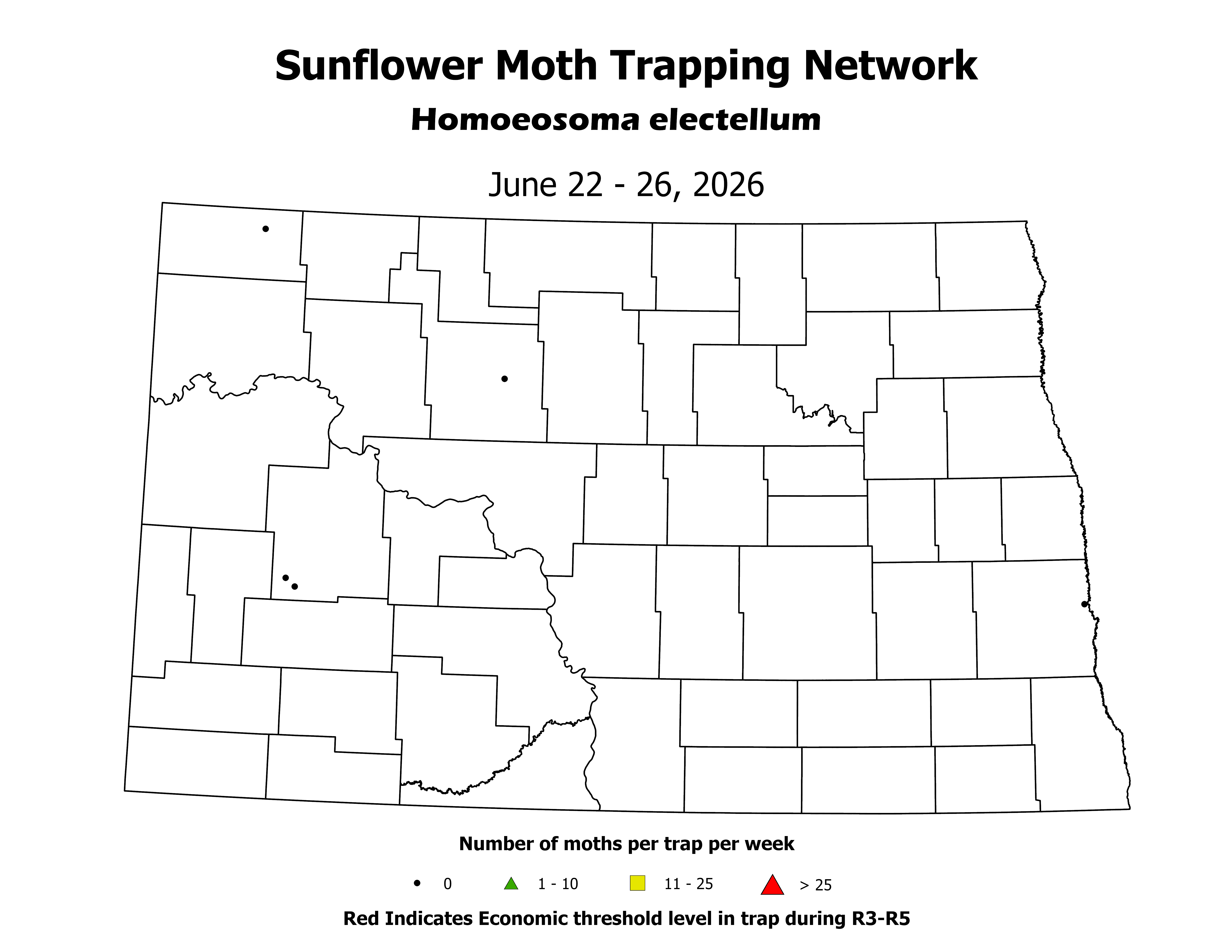sunflowerInsectTrap_SM_Count_2026June22ToJune26