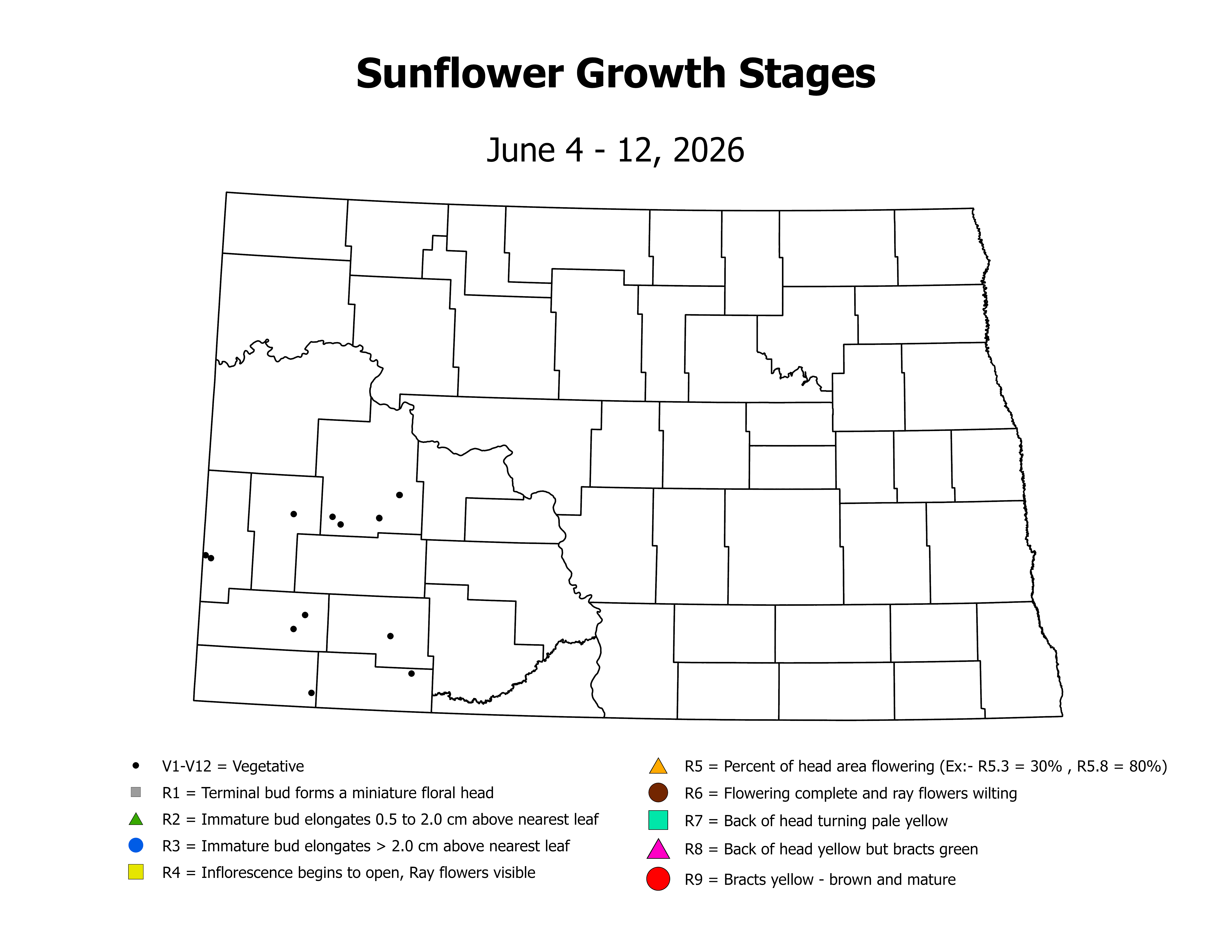 sunflower_CropStage_2026June4ToJune12