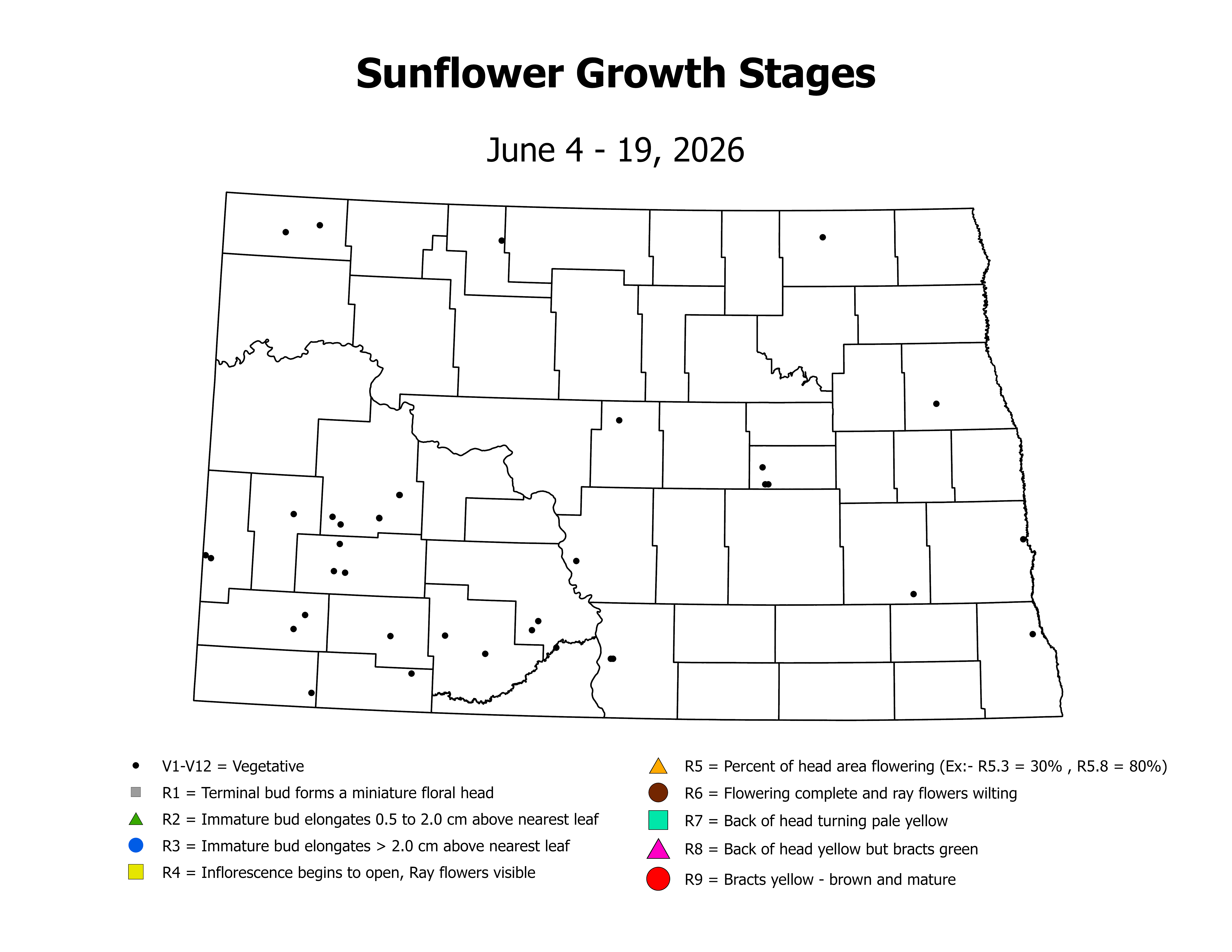 sunflower_CropStage_2026June4ToJune19
