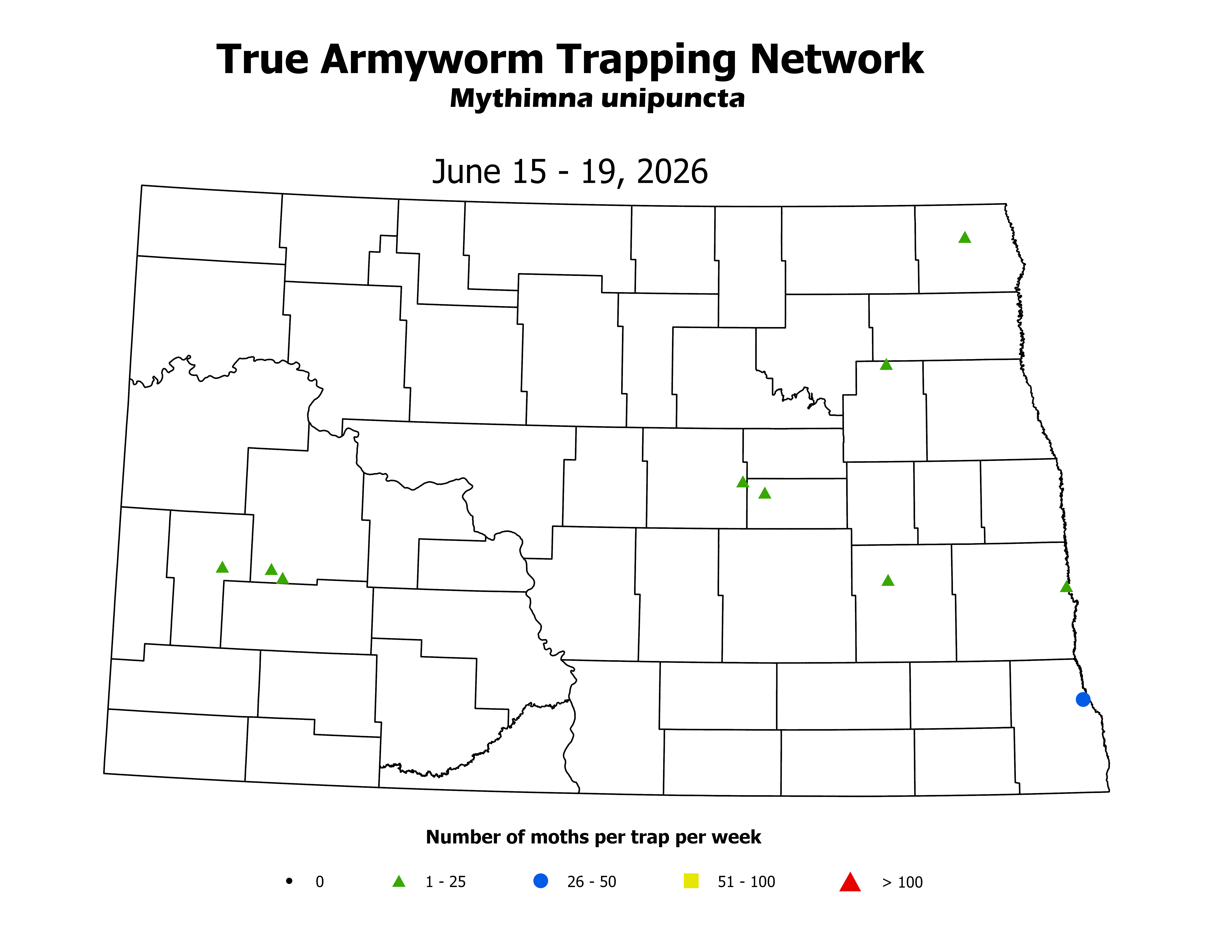 wheatInsectTrap_AMM_Count_2026June15ToJune19