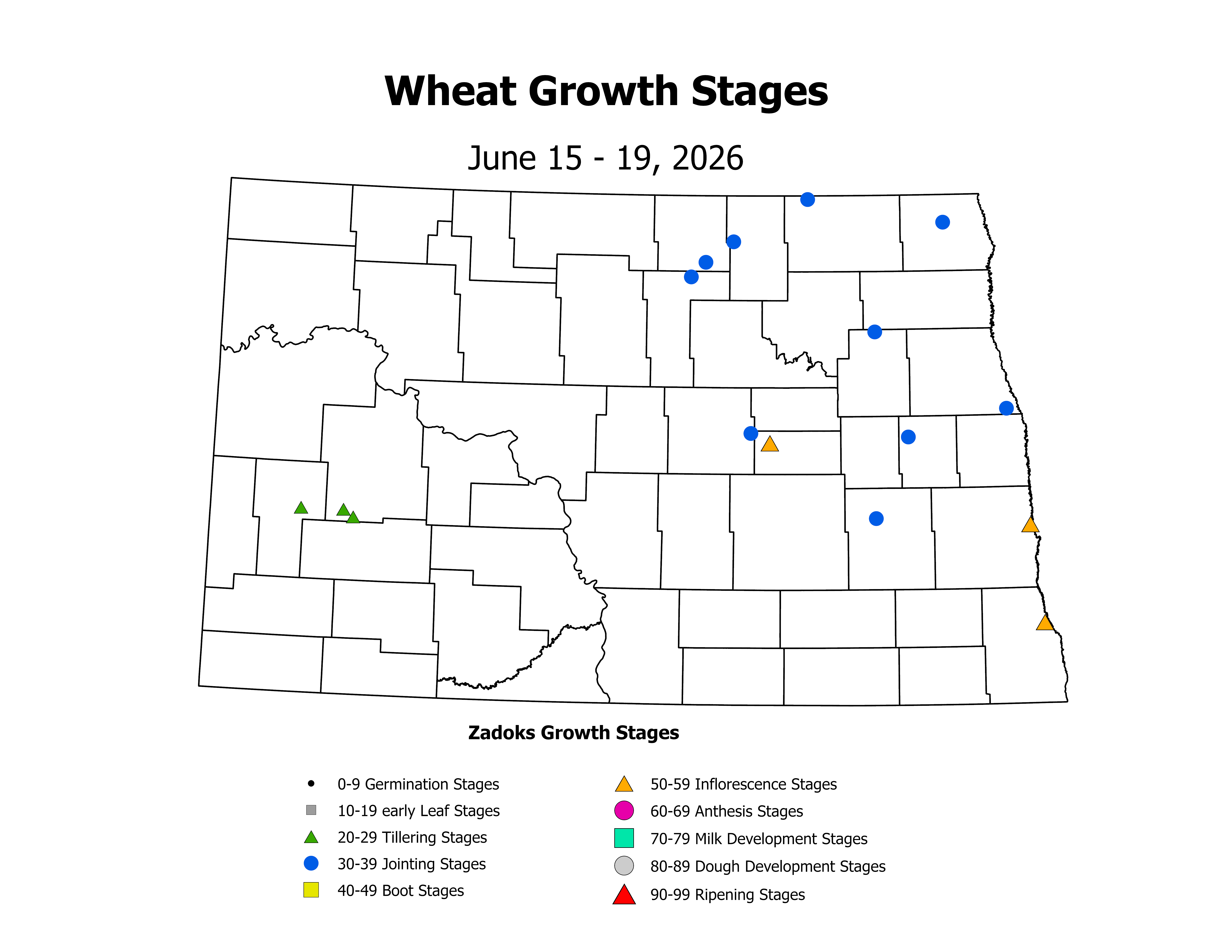 wheatInsectTrap_CropStage_2026June15ToJune19