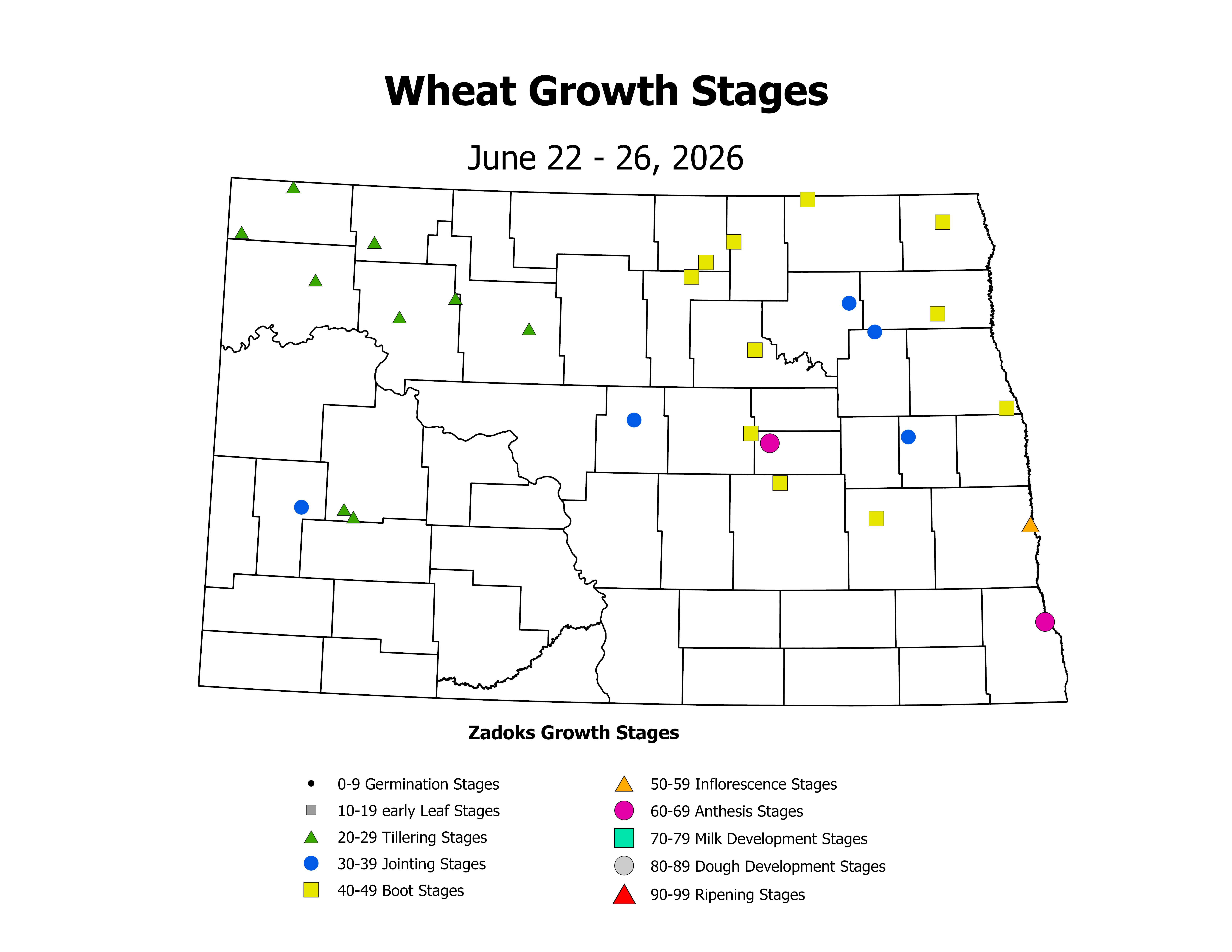 wheatInsectTrap_CropStage_2026June22ToJune26
