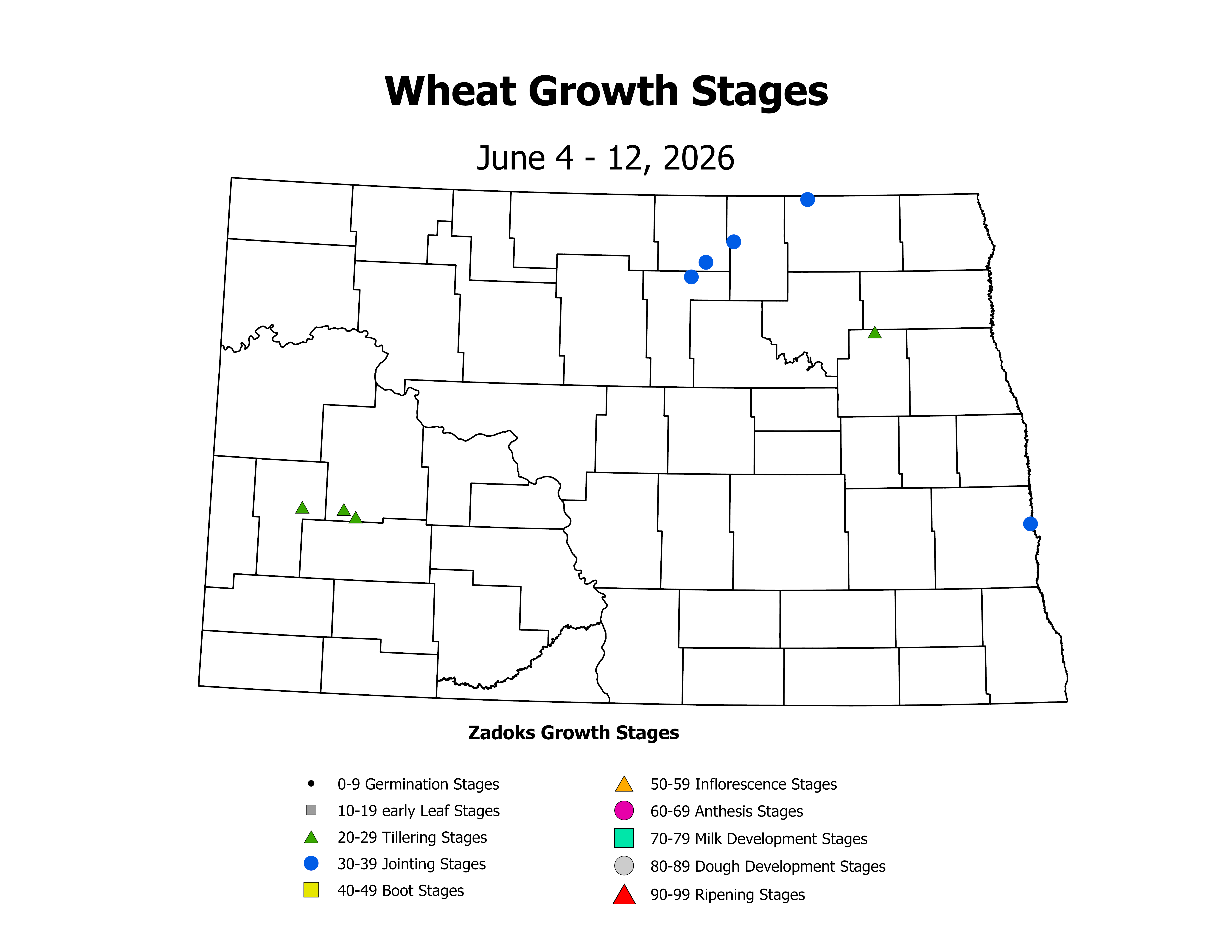 wheatInsectTrap_CropStage_2026June4ToJune12