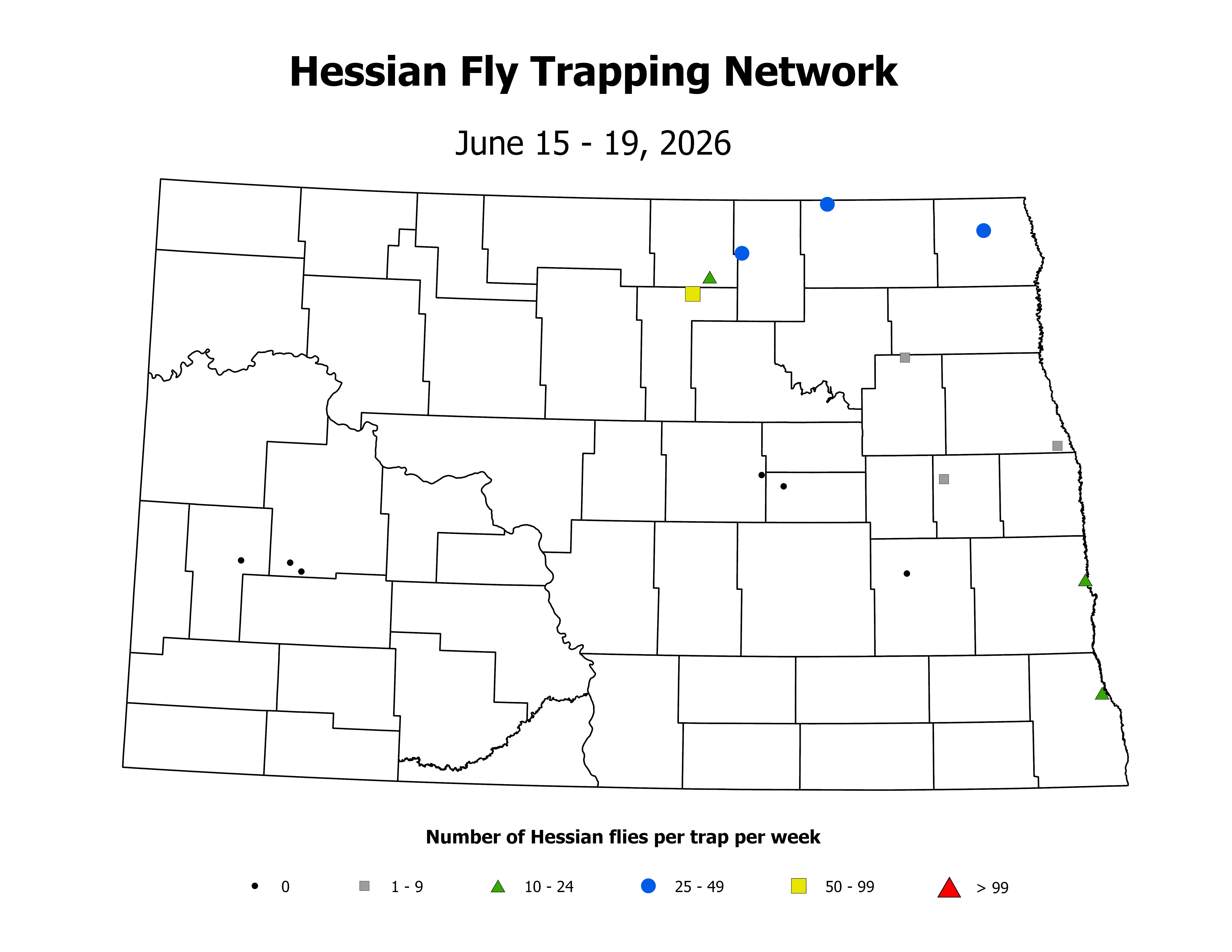 wheatInsectTrap_HF_Count_2026June15ToJune19