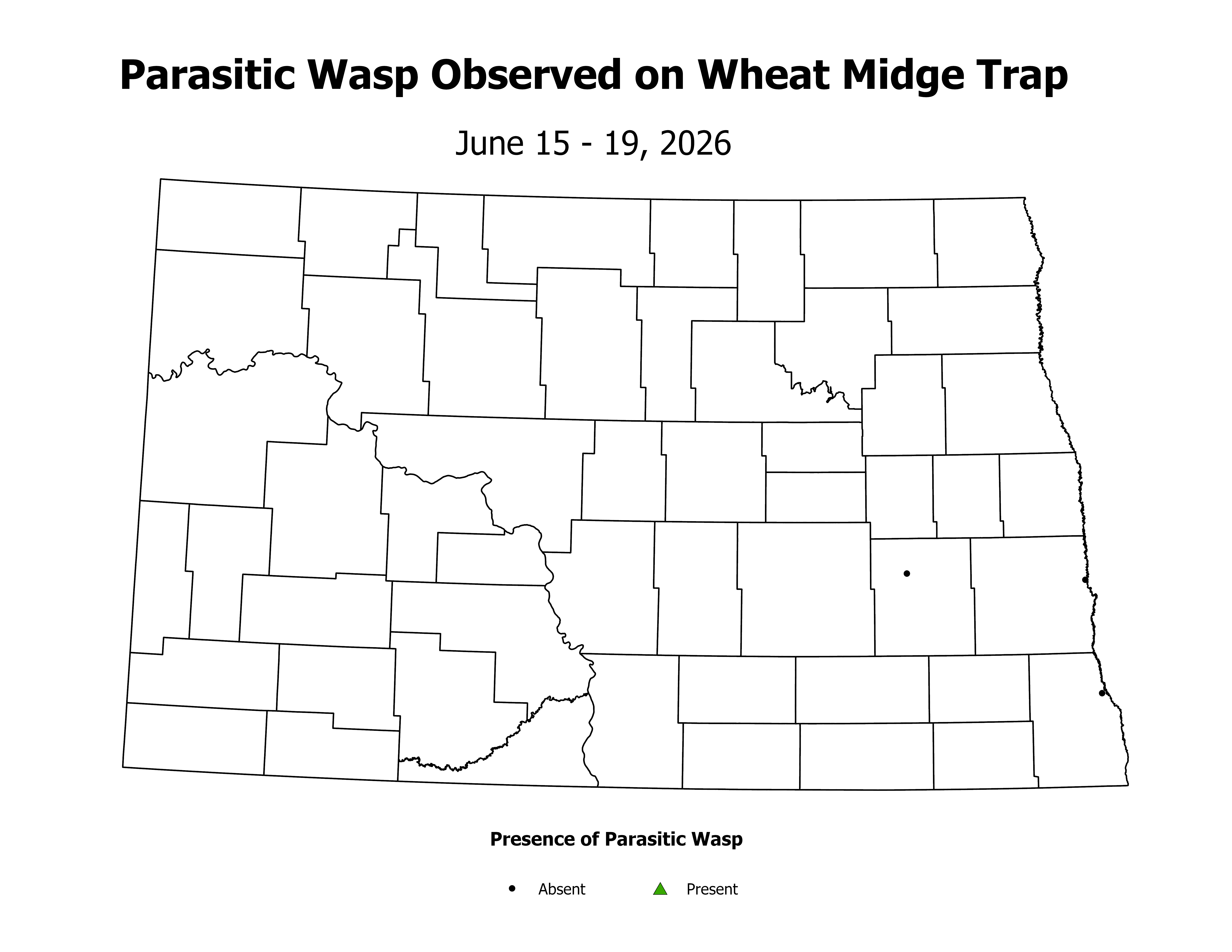 wheatInsectTrap_PARA_PRES_2026June15ToJune19