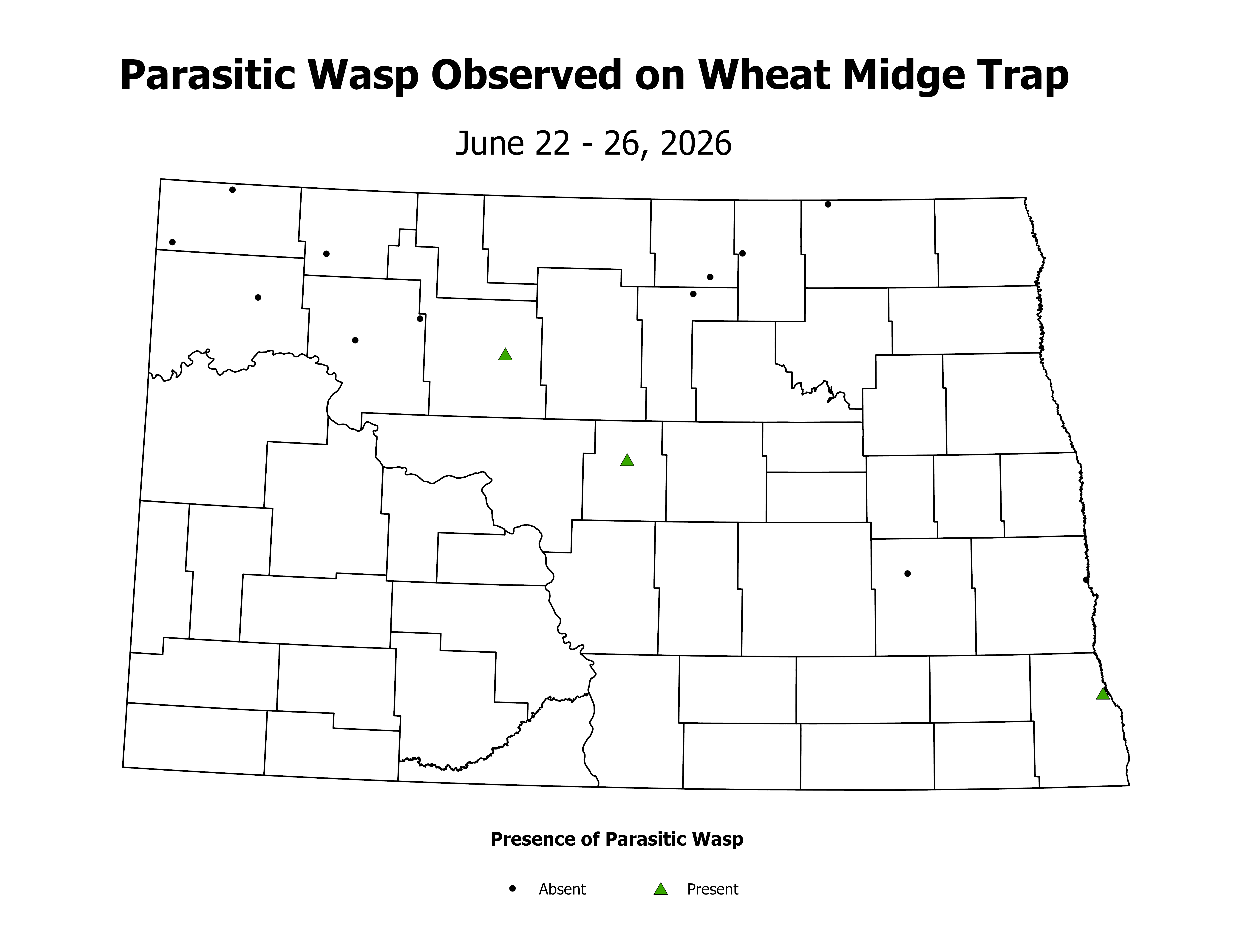wheatInsectTrap_PARA_PRES_2026June22ToJune26