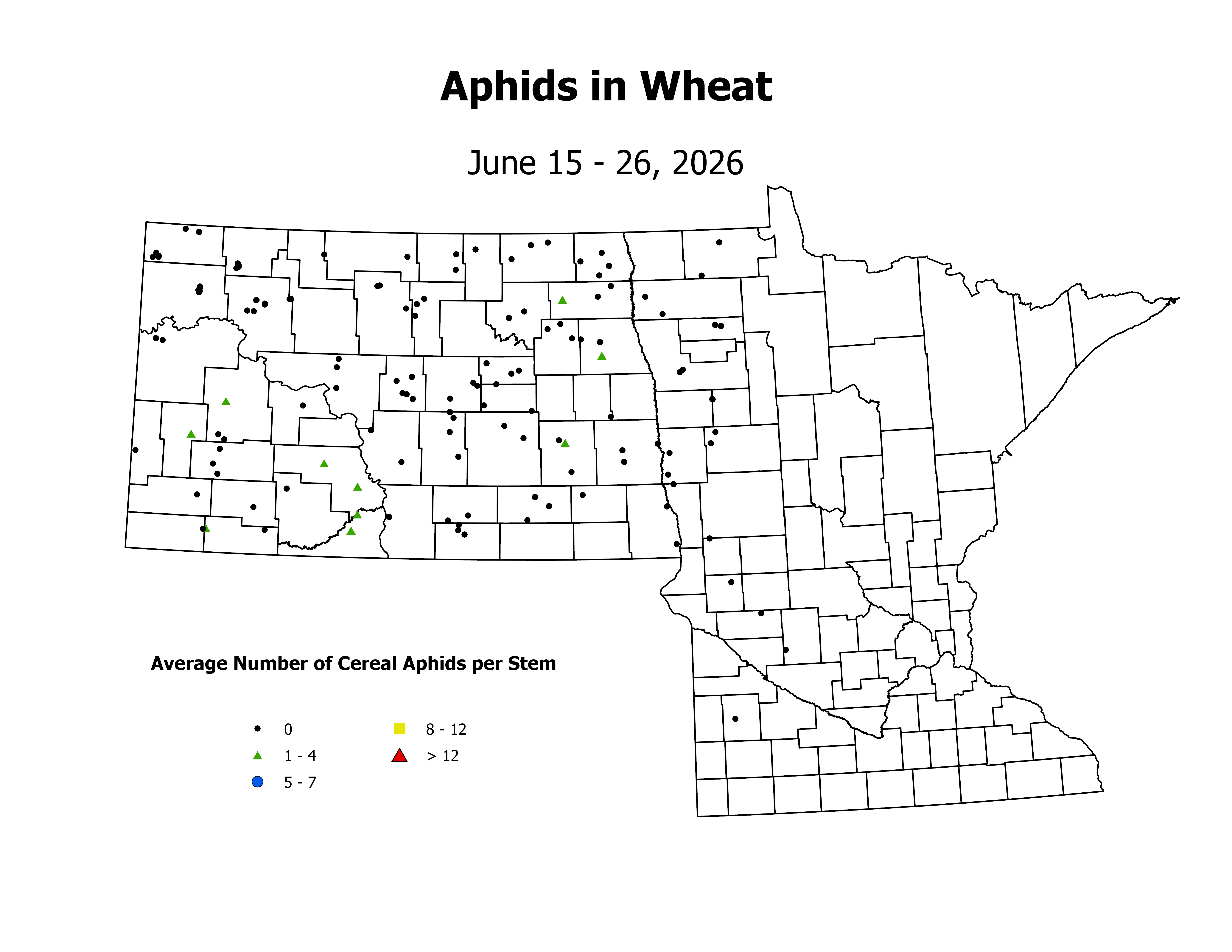 wheat_Aph_Stem_2026June15ToJune26