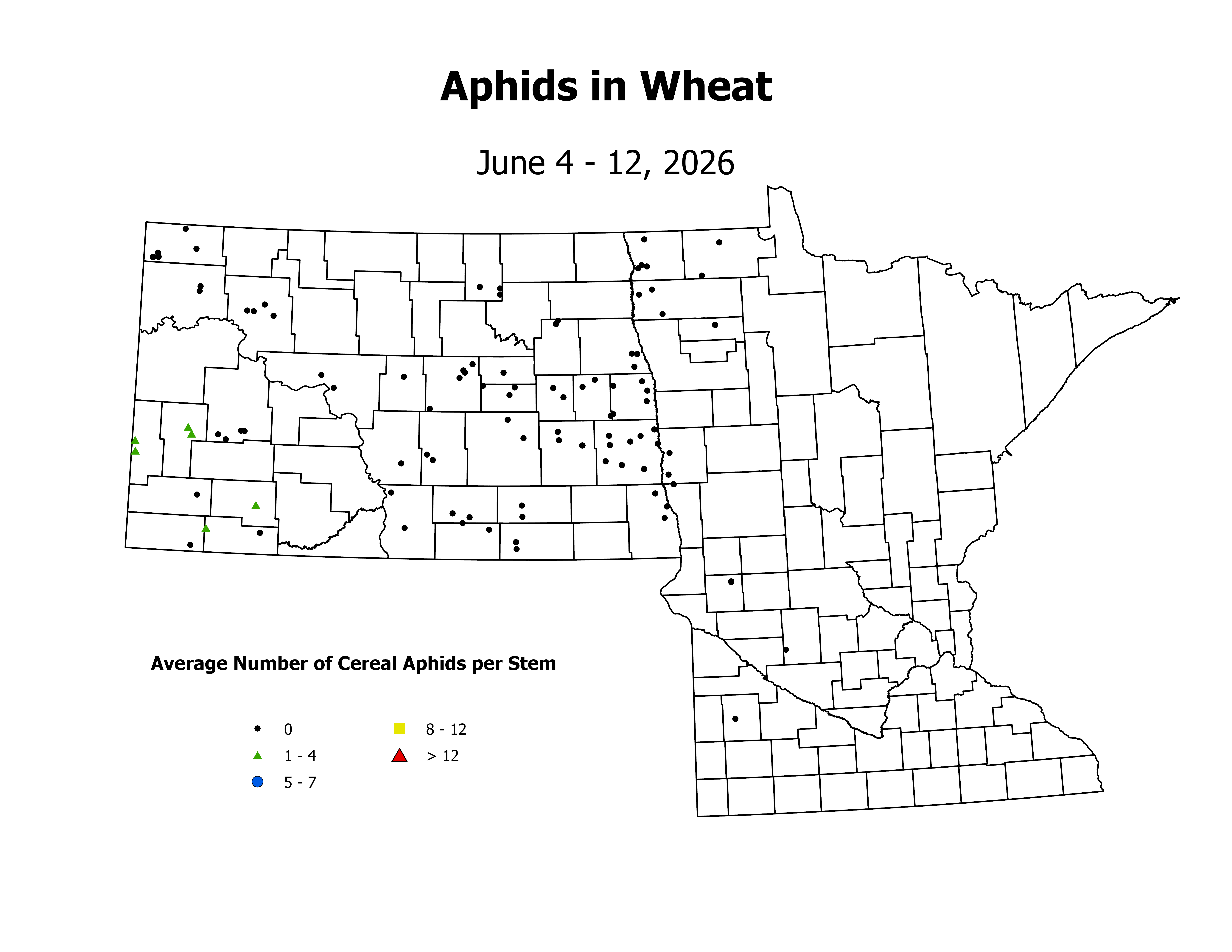 wheat_Aph_Stem_2026June4ToJune12