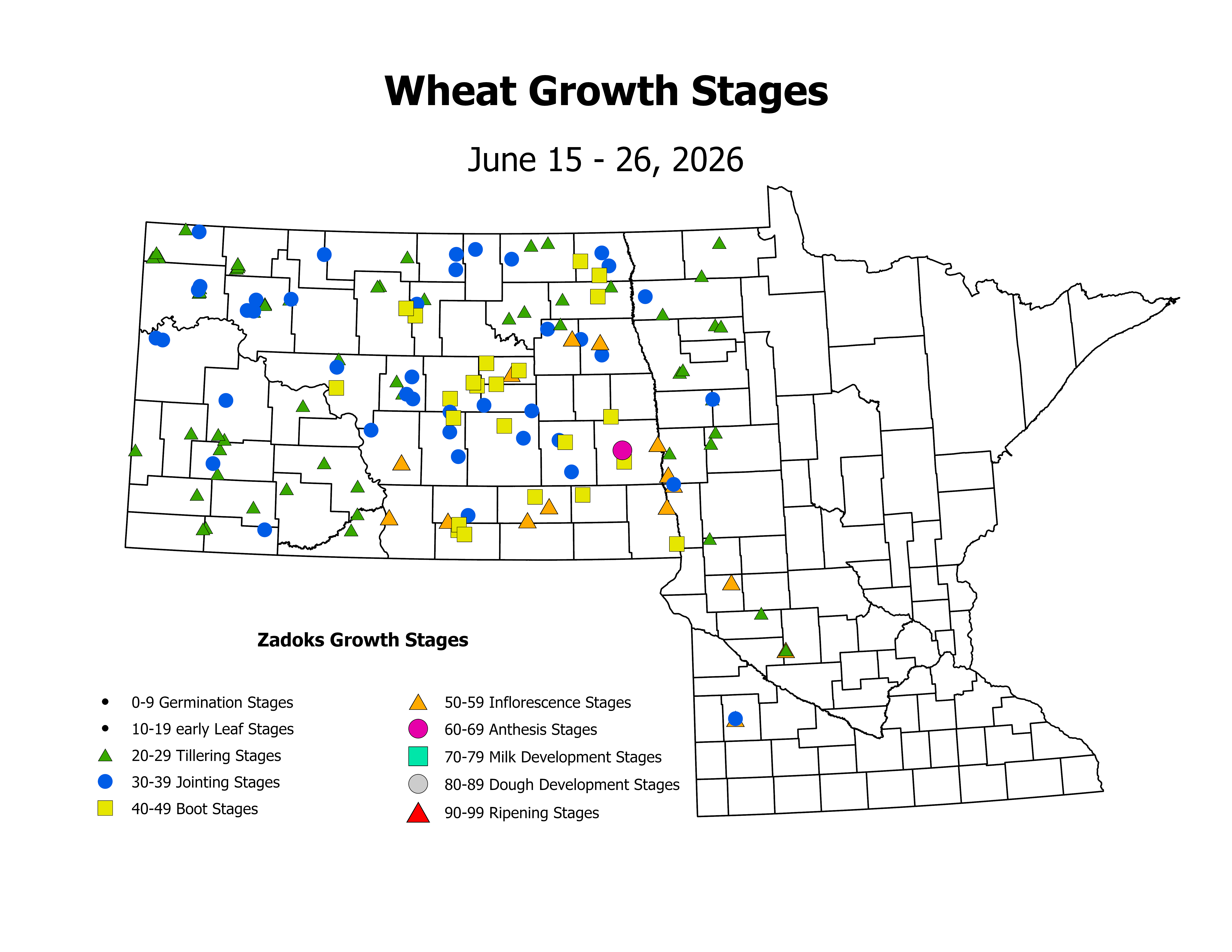 wheat_CropStage_2026June15ToJune26