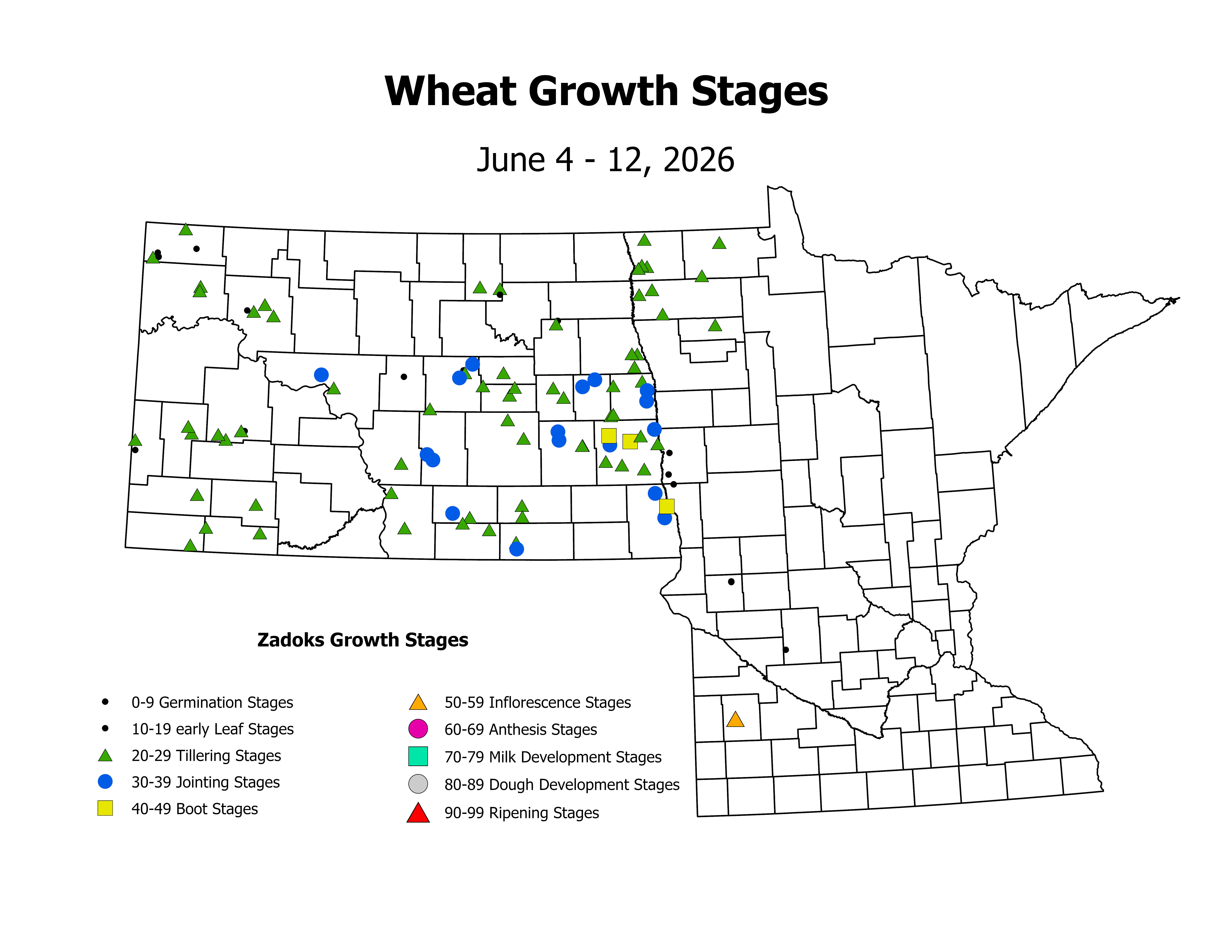 wheat_CropStage_2026June4ToJune12