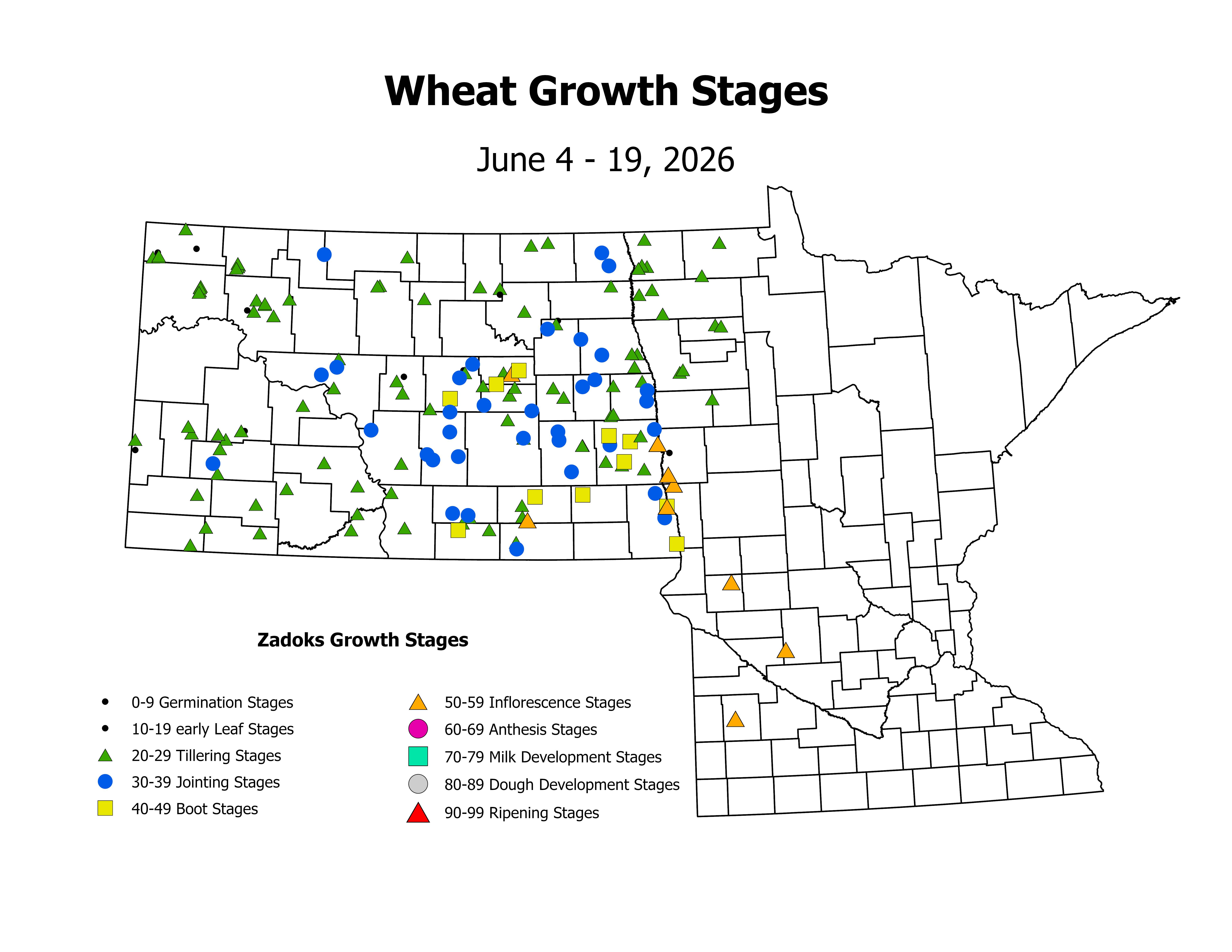 wheat_CropStage_2026June4ToJune19