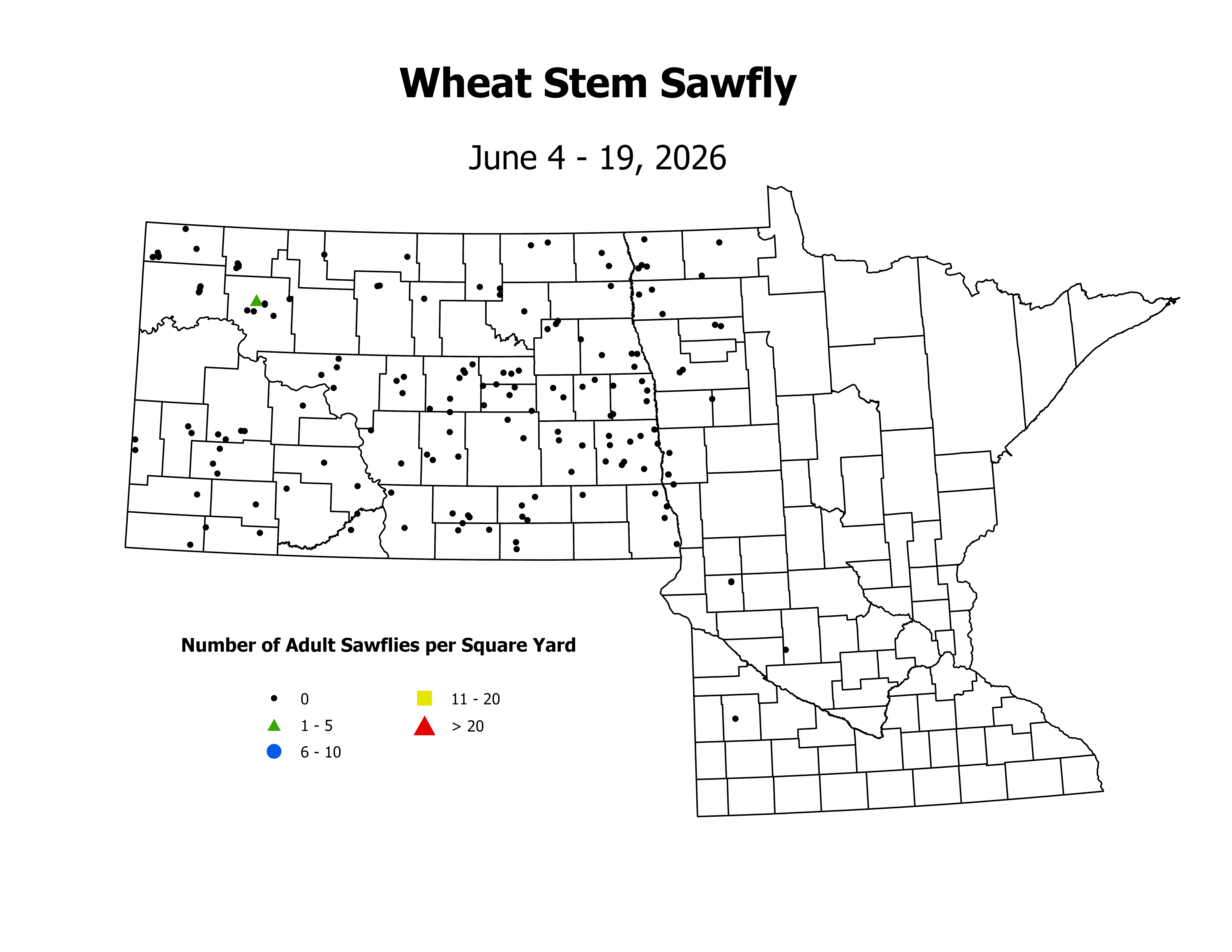 wheat_WSSF_sqyd_2026June4ToJune19