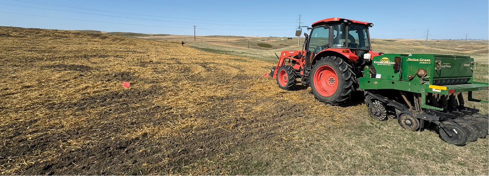 Seeding