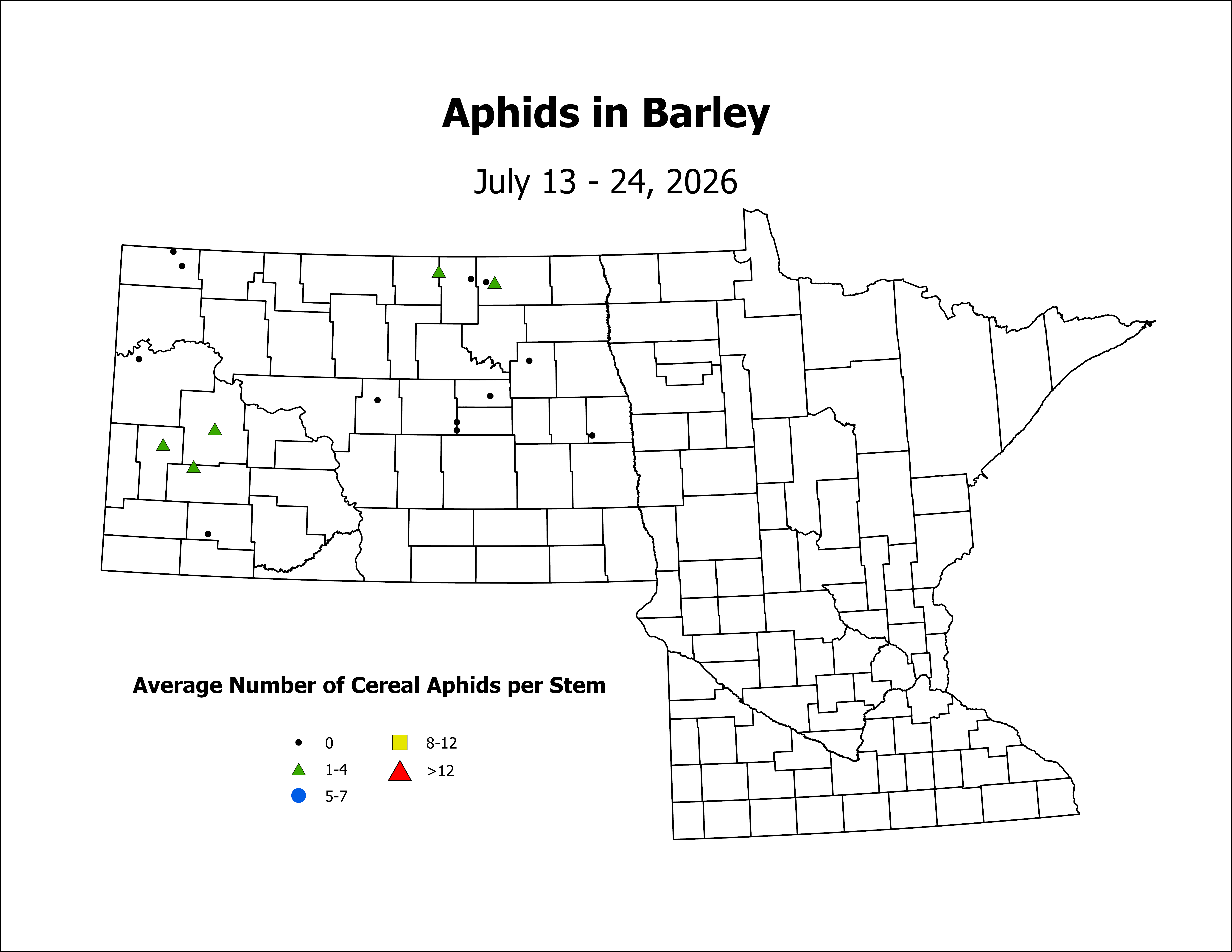 barley_Aph_Stem_2026July13ToJuly24
