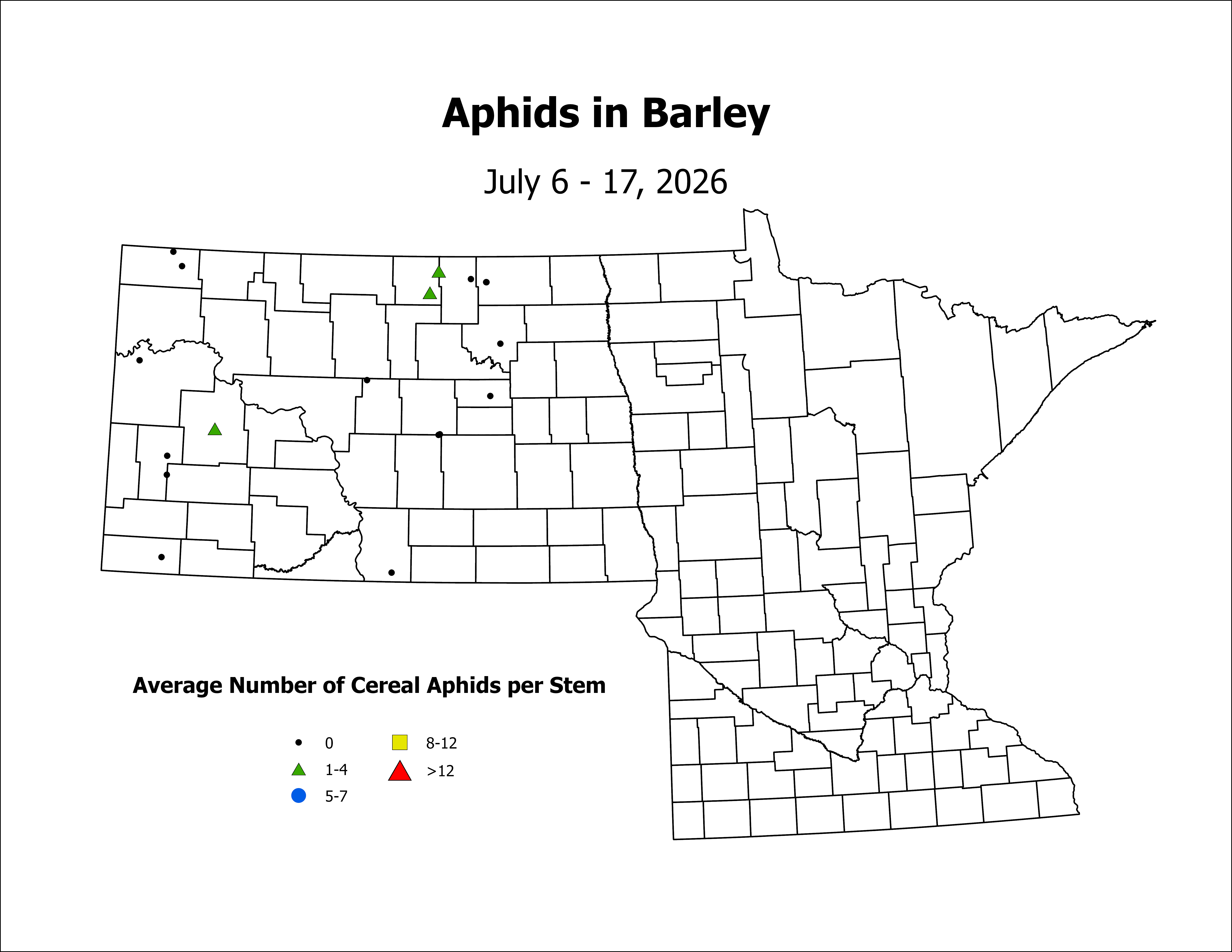 barley_Aph_Stem_2026July6ToJuly17