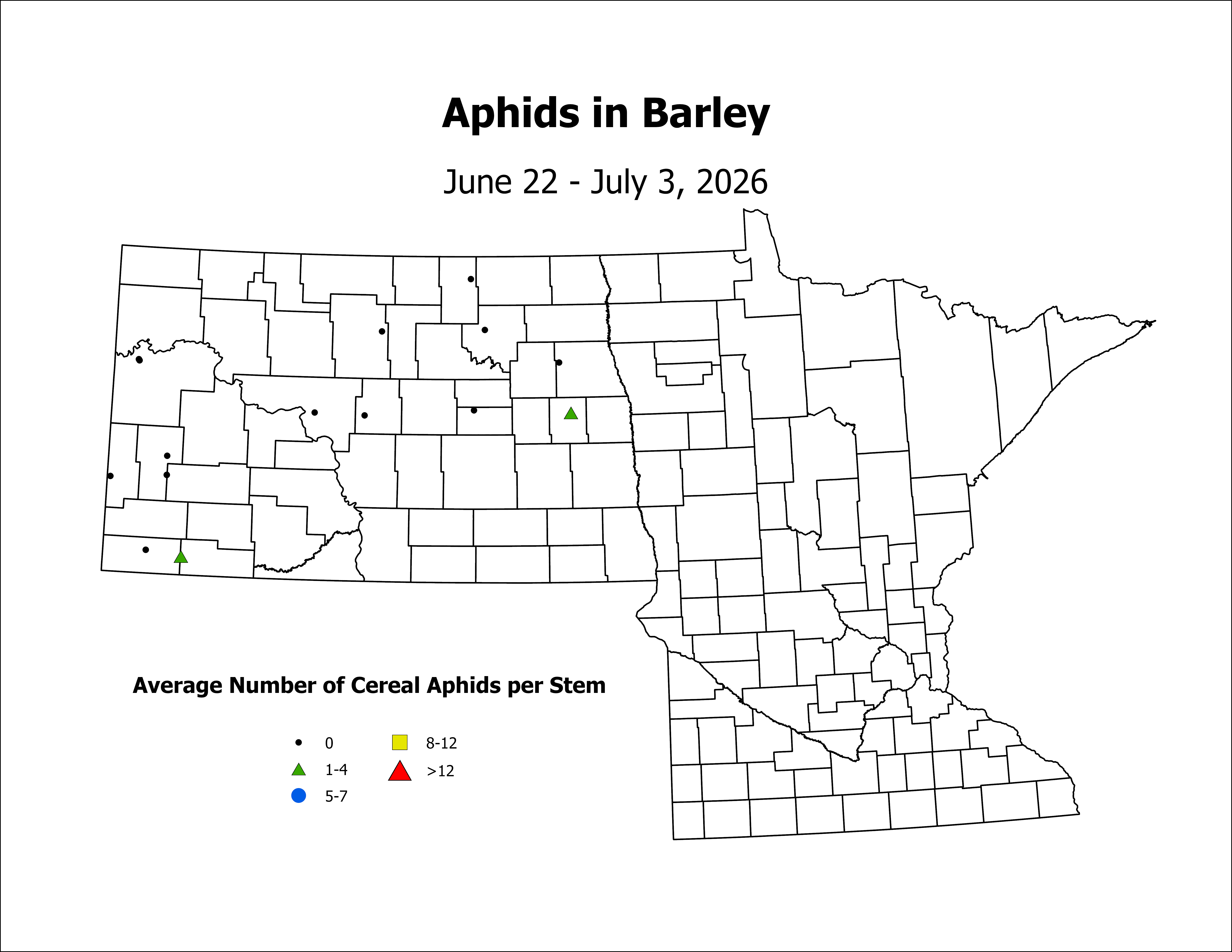 barley_Aph_Stem_2026June22ToJuly3