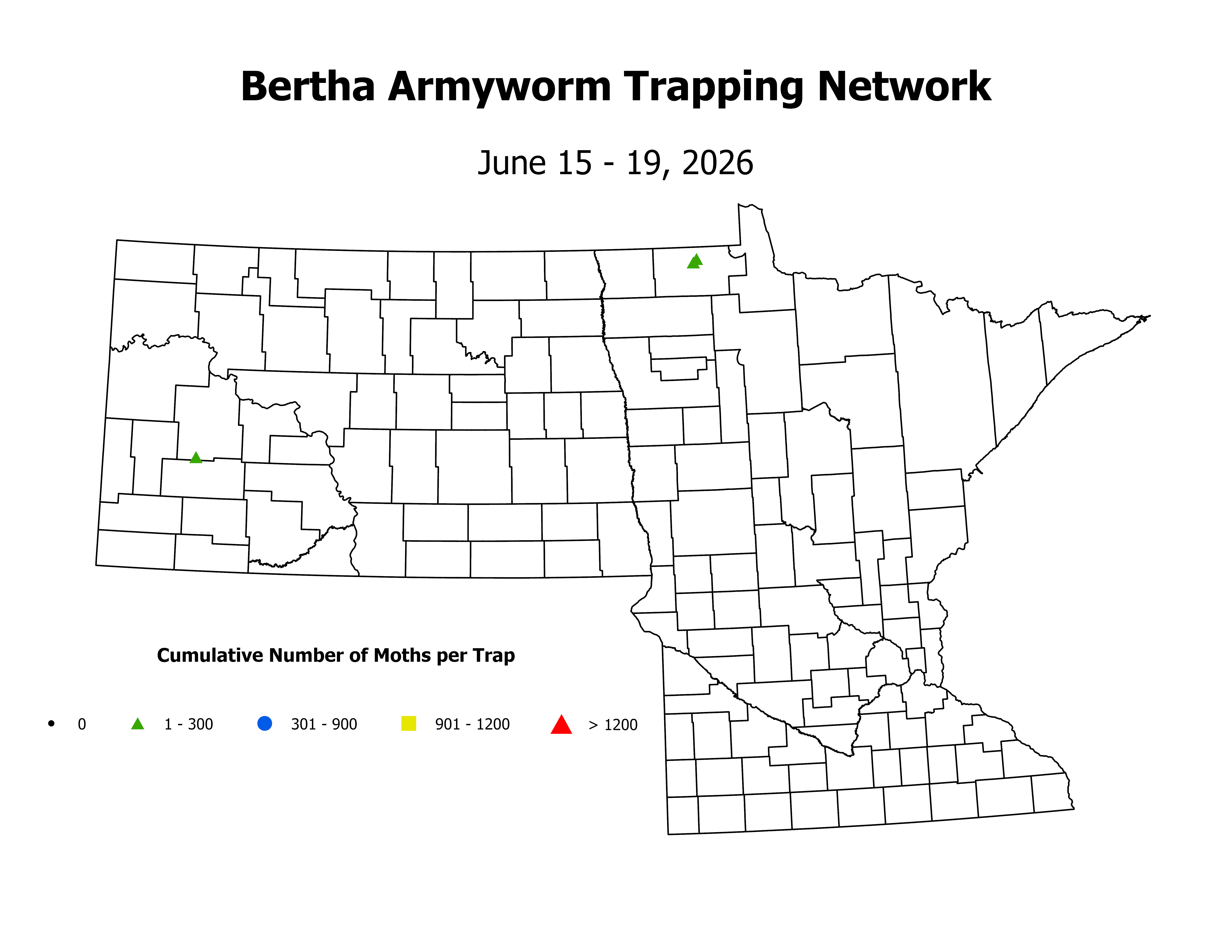 canolaInsectTrap_BRA_Count_2026June15ToJune19
